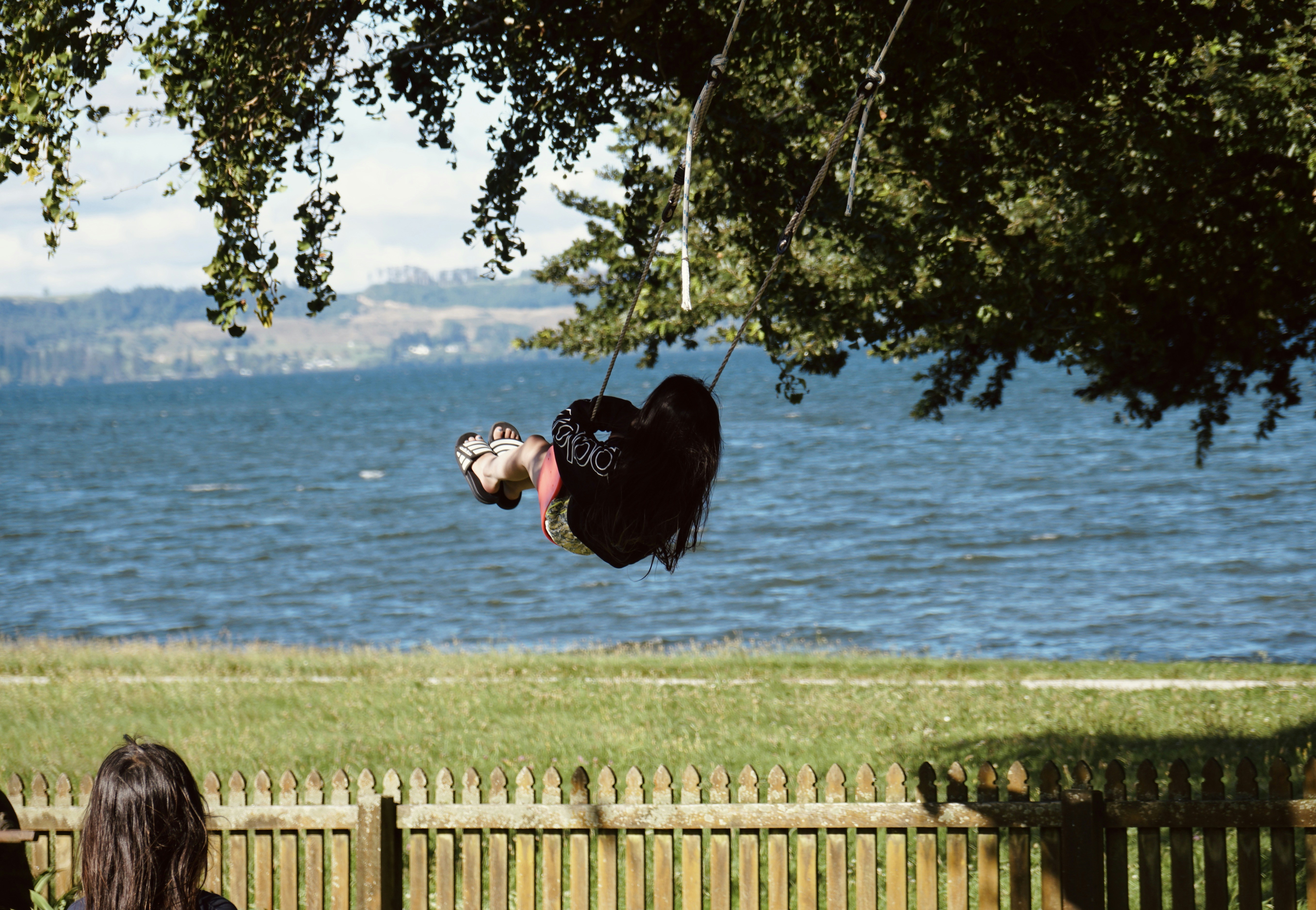 A heart-shaped swing hangs near the water.