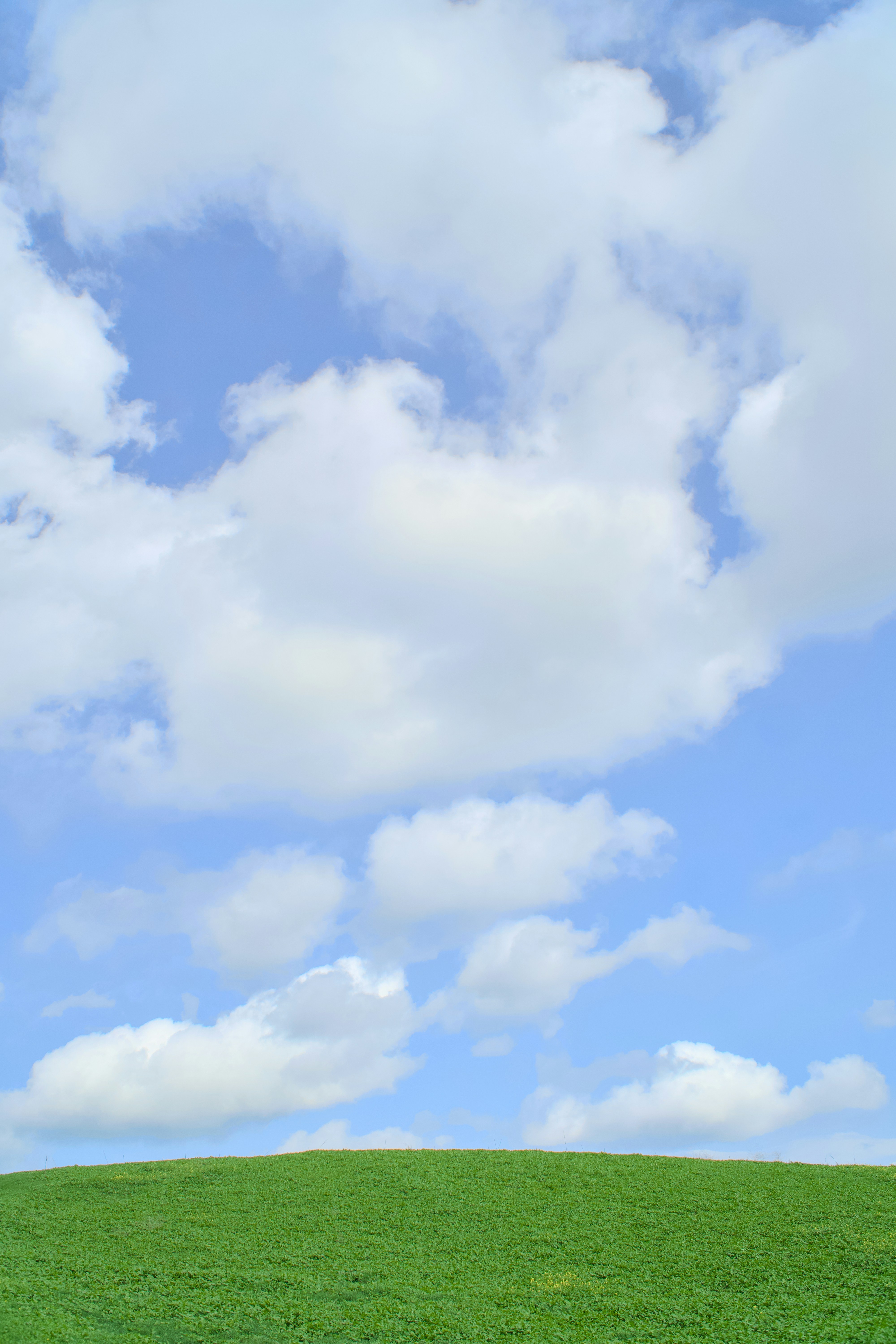 Photo by spencer_demera