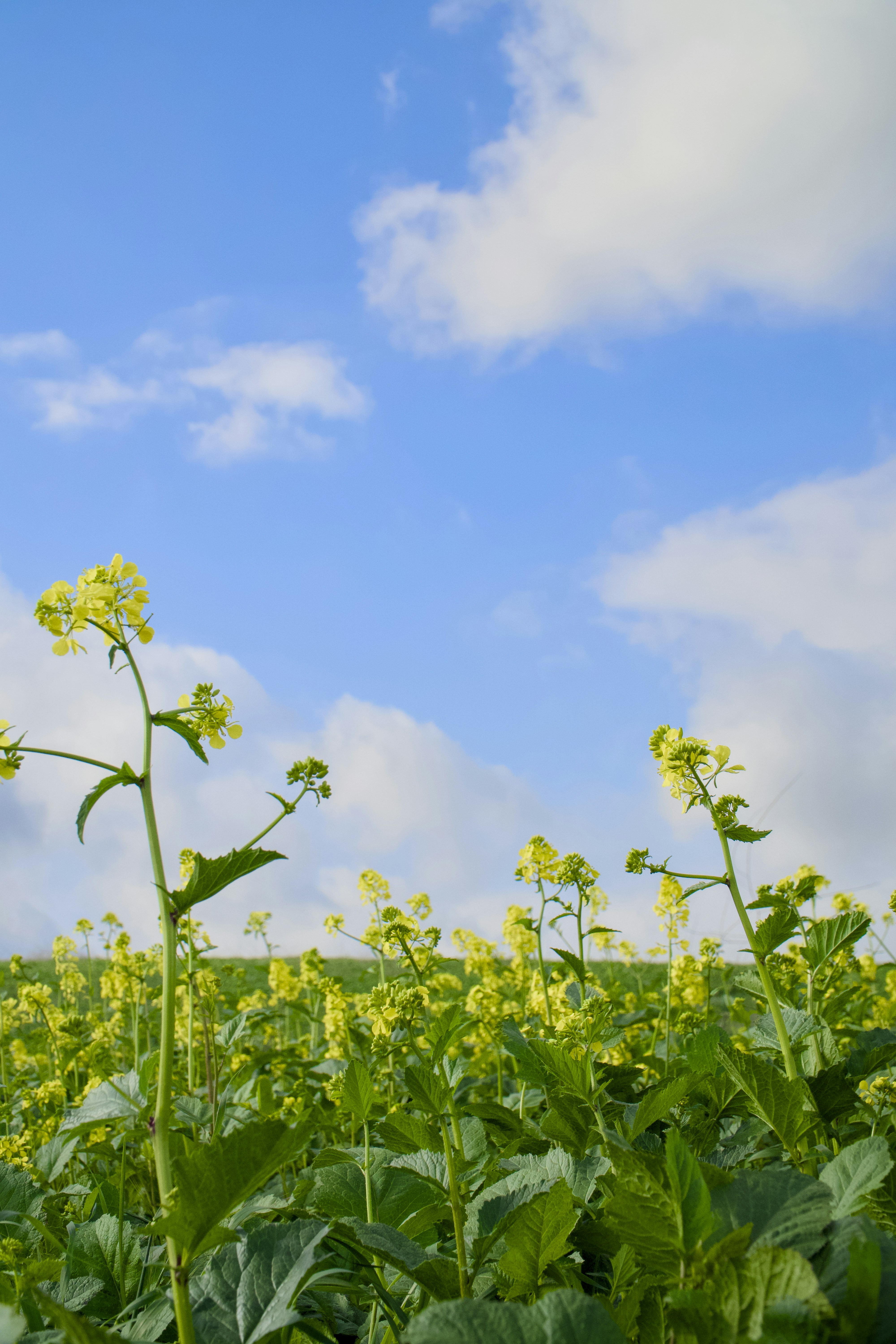 Photo by spencer_demera