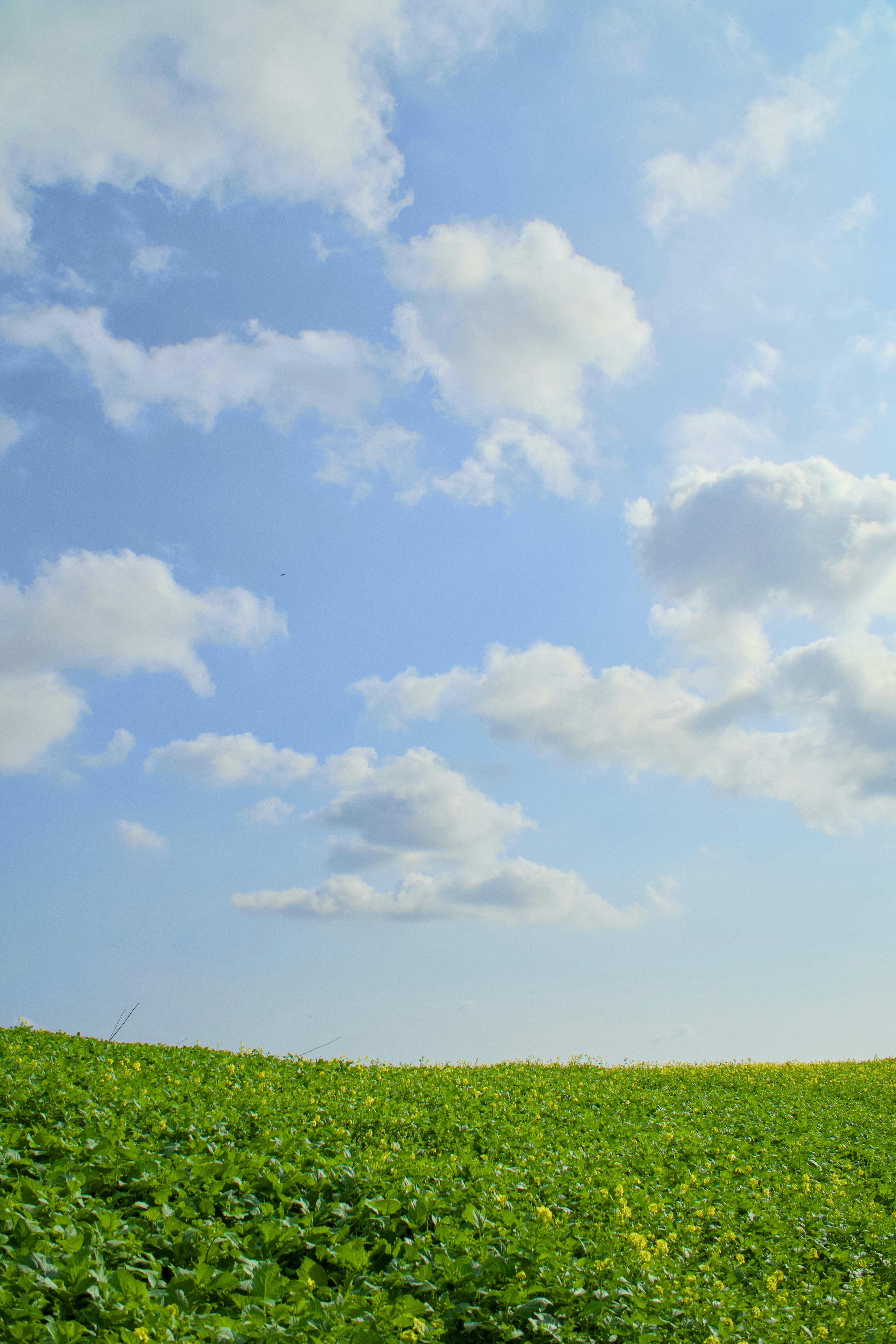 Photo by spencer_demera