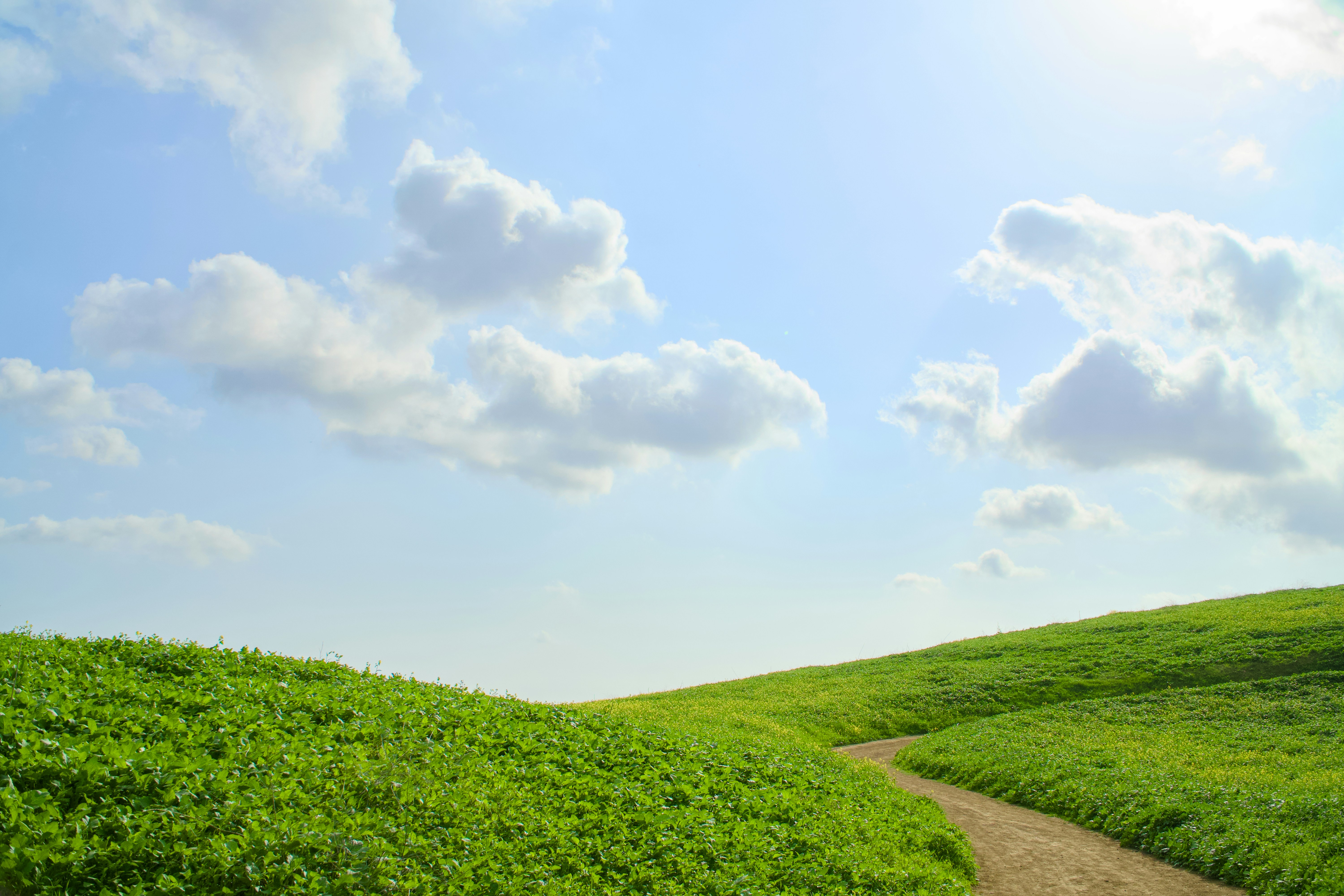 Photo by spencer_demera