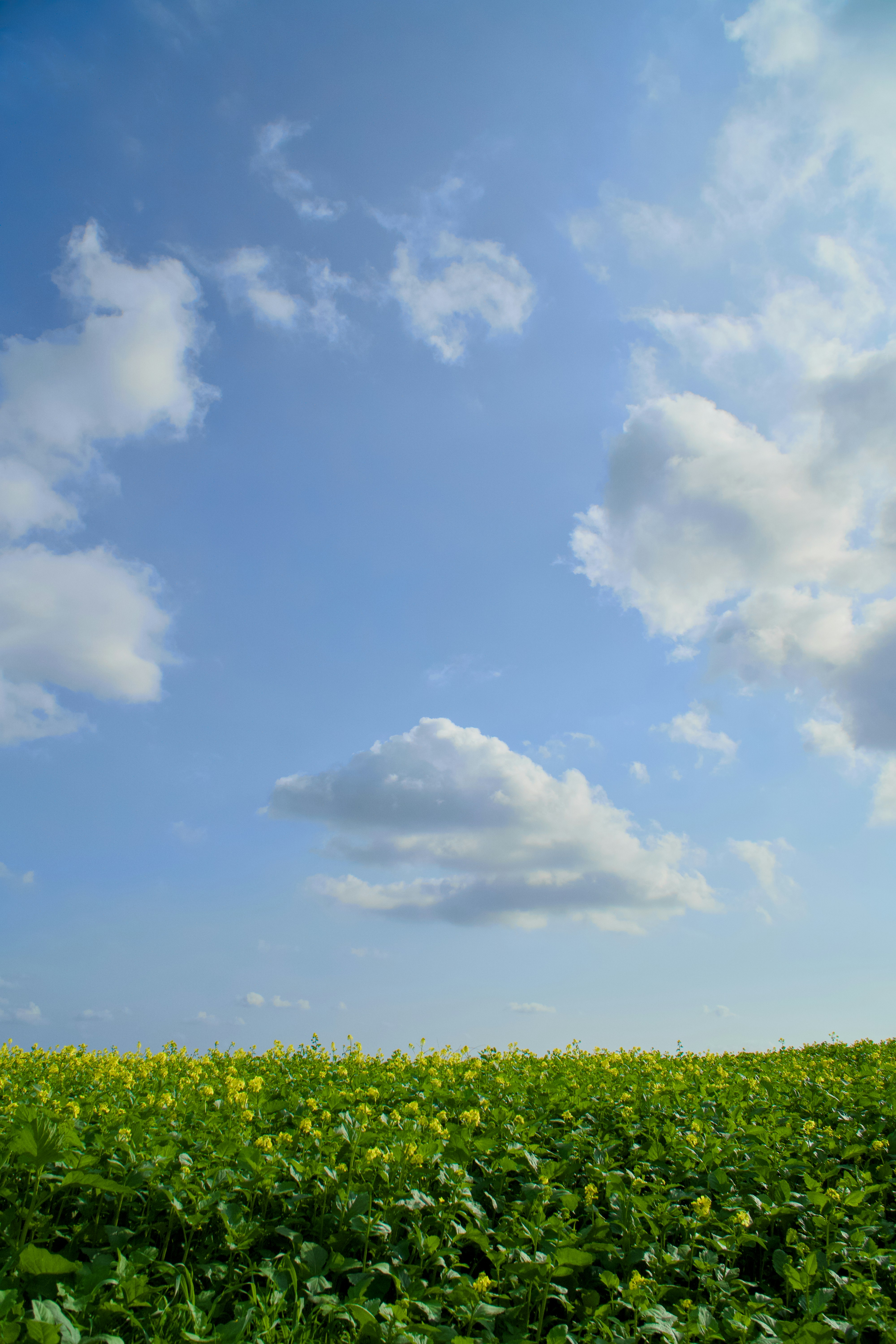 Photo by spencer_demera