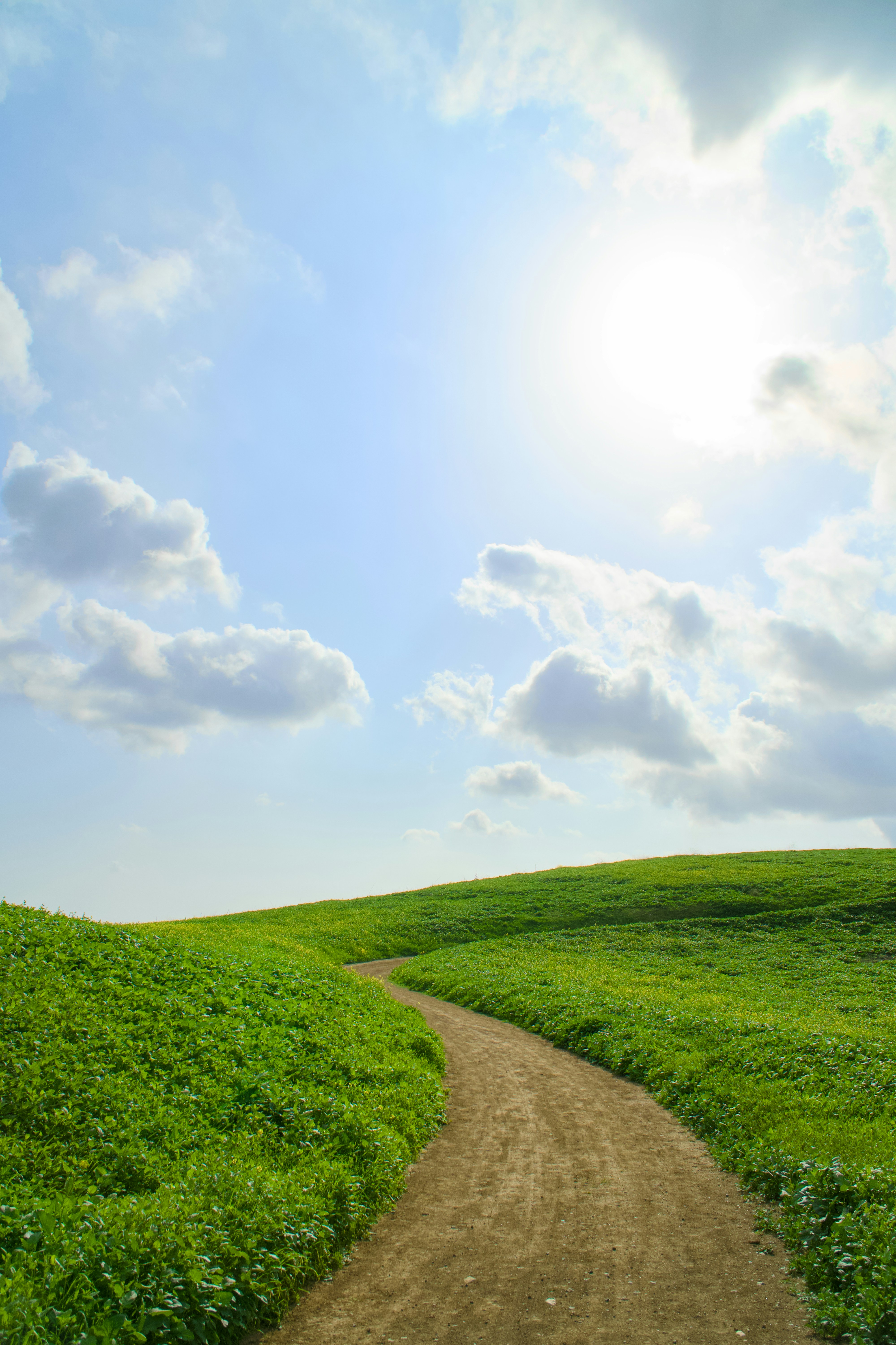 Photo by spencer_demera