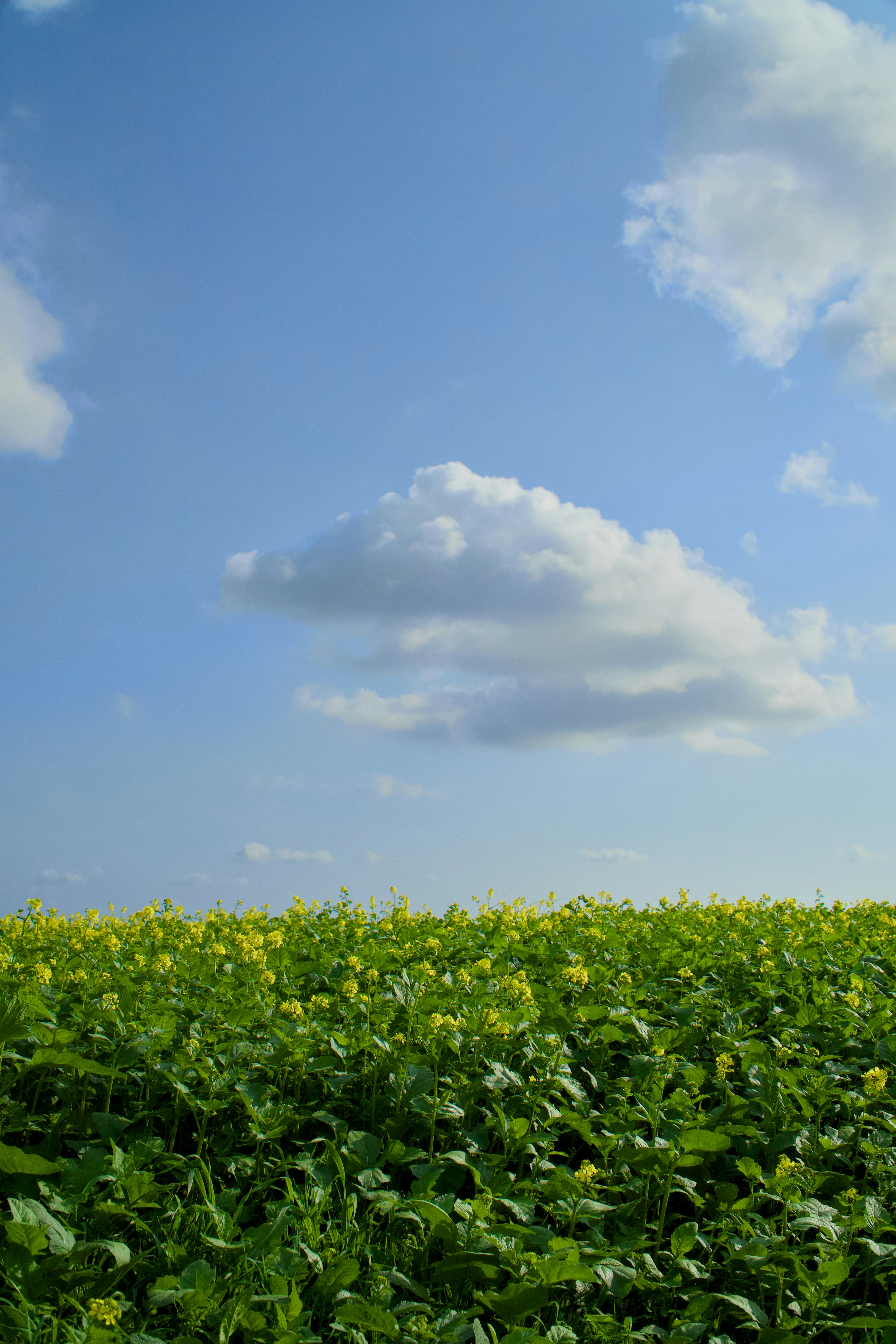 Photo by spencer_demera