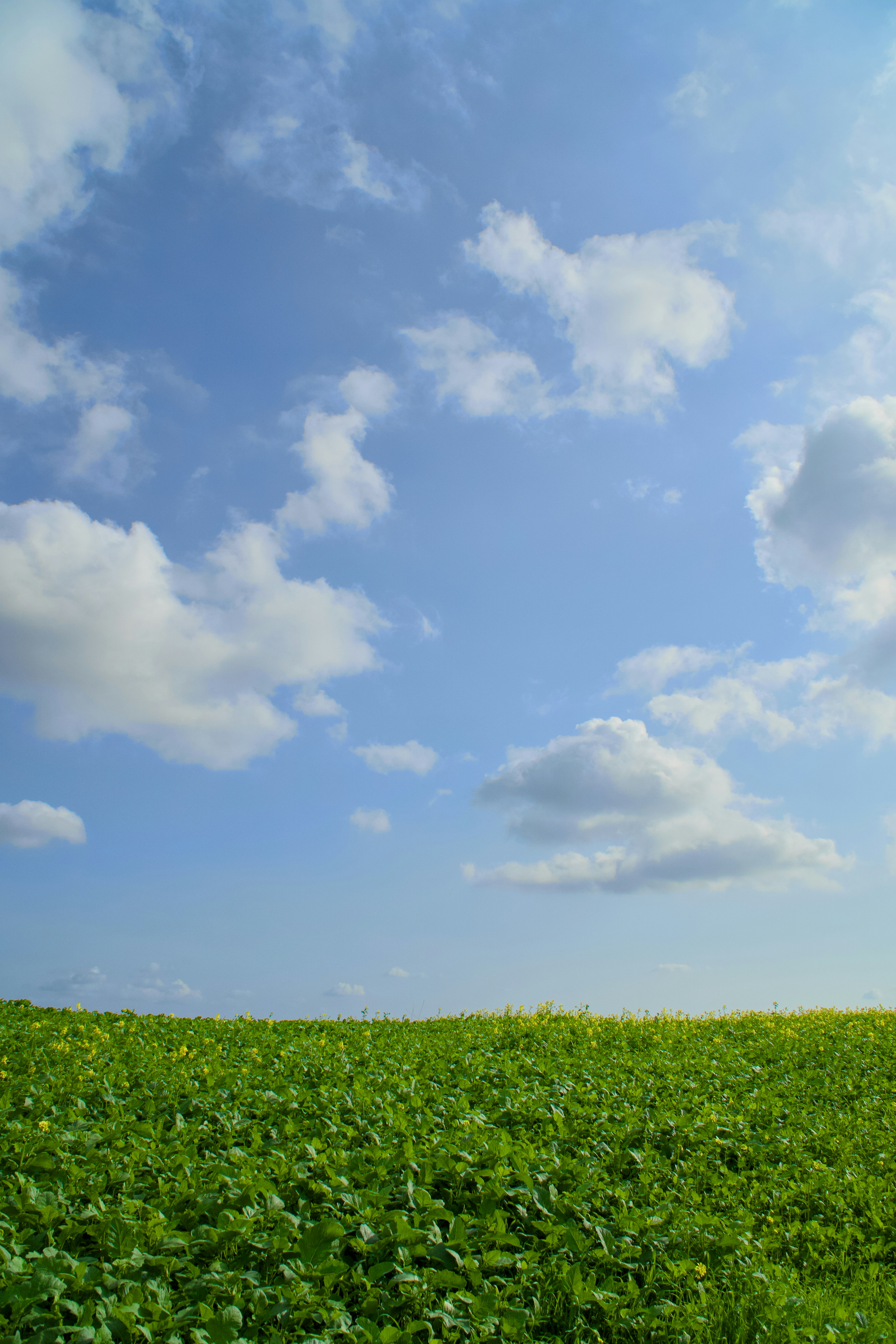 Photo by spencer_demera