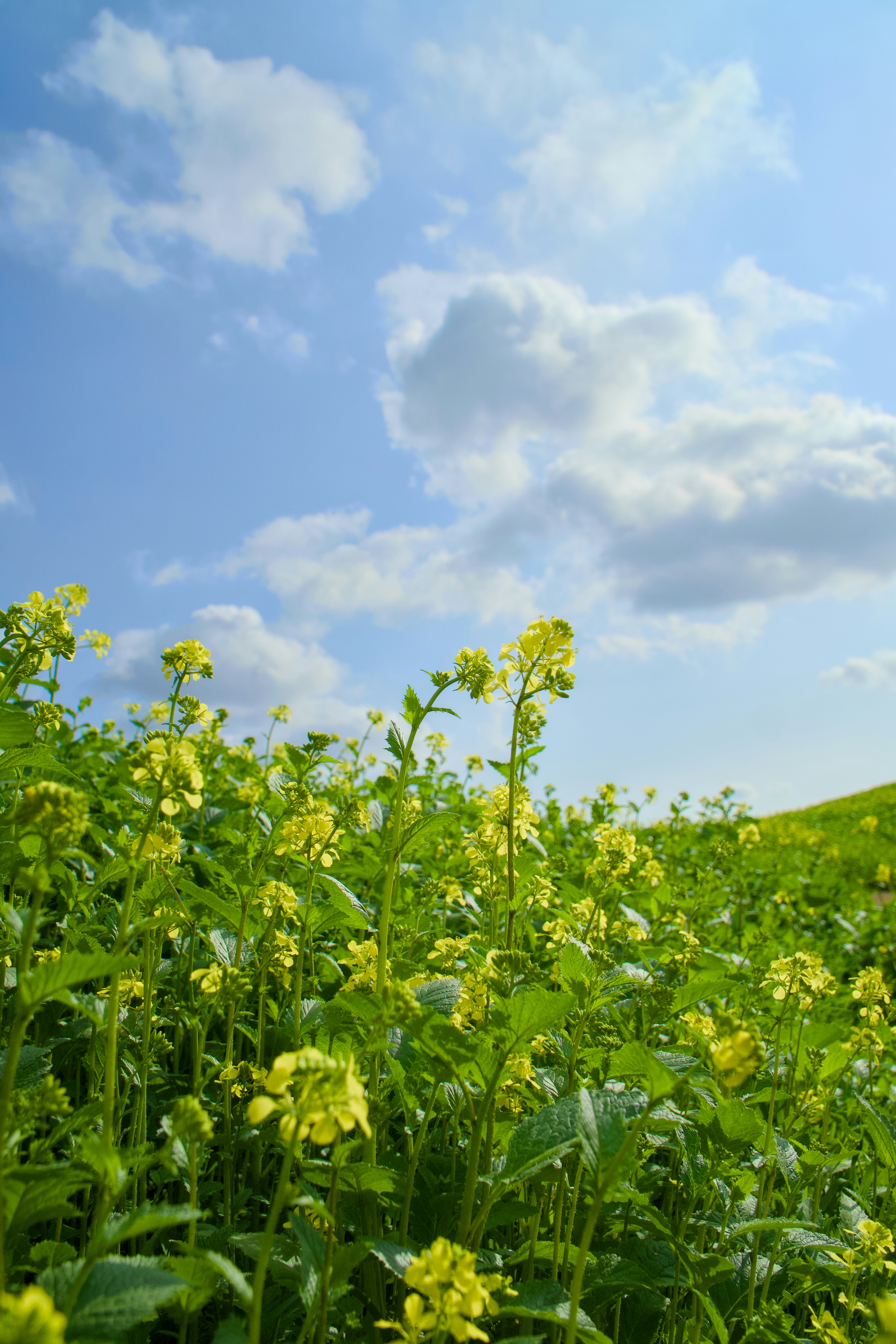 Photo by spencer_demera