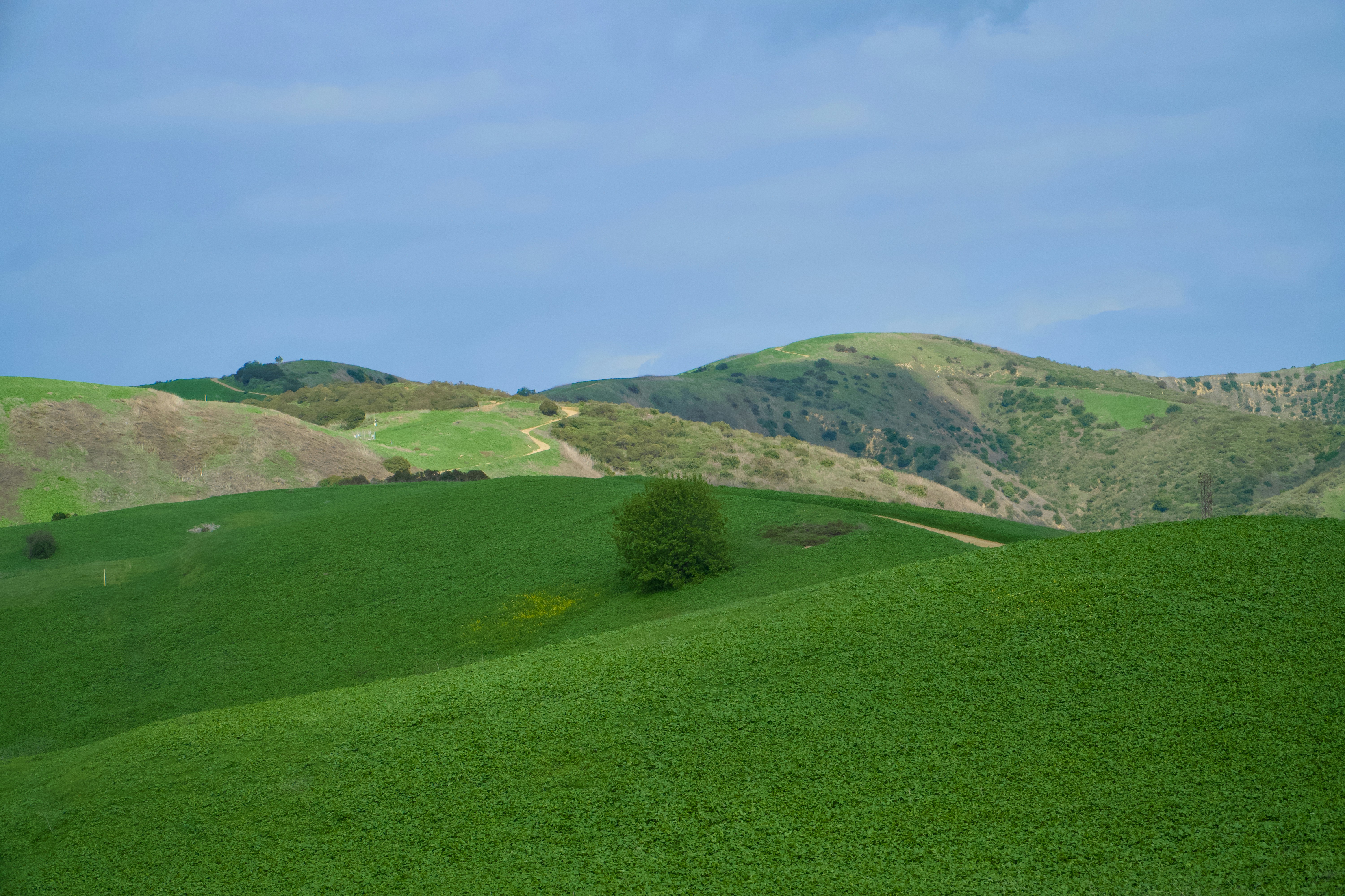 Photo by spencer_demera