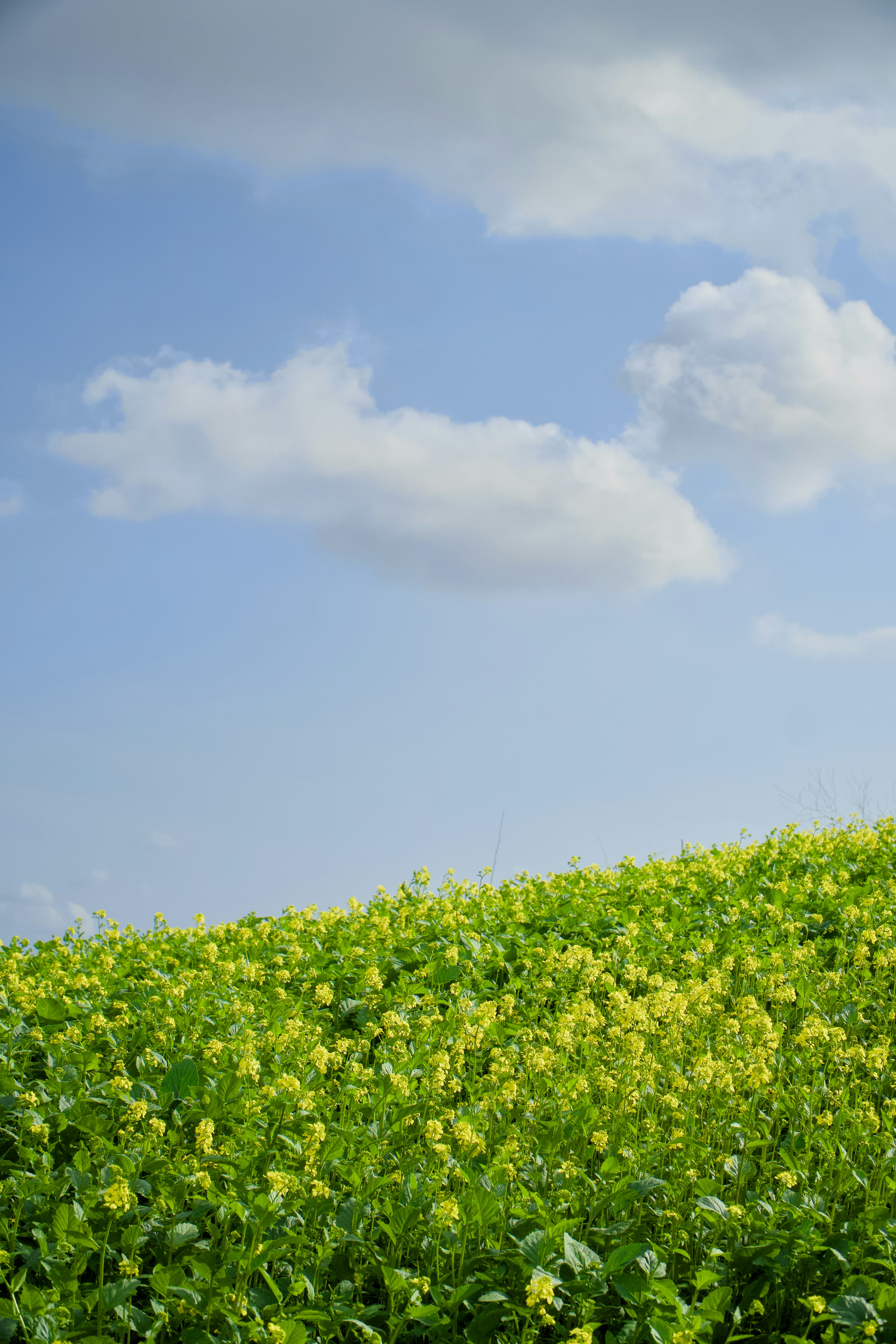 Photo by spencer_demera