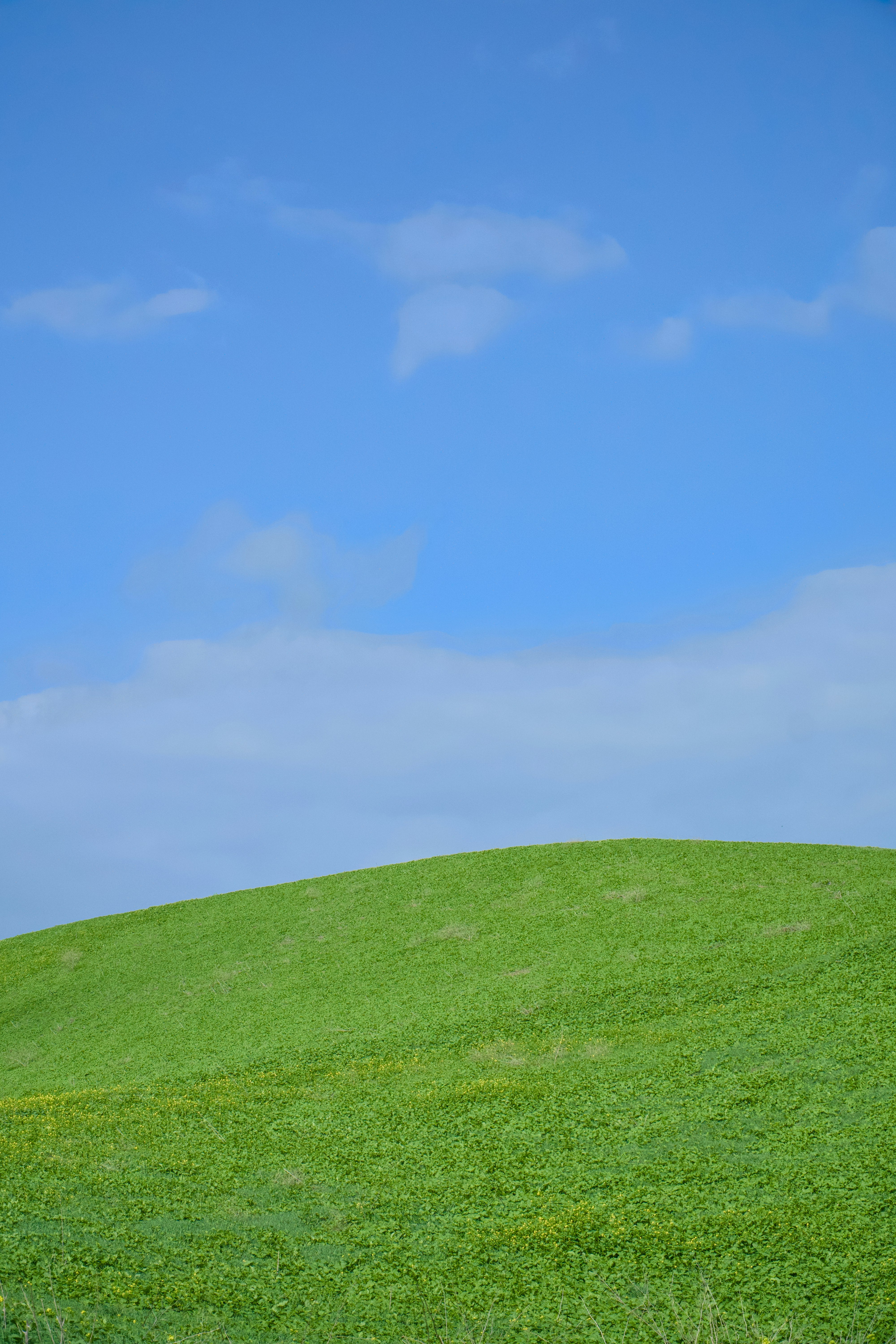 Photo by spencer_demera