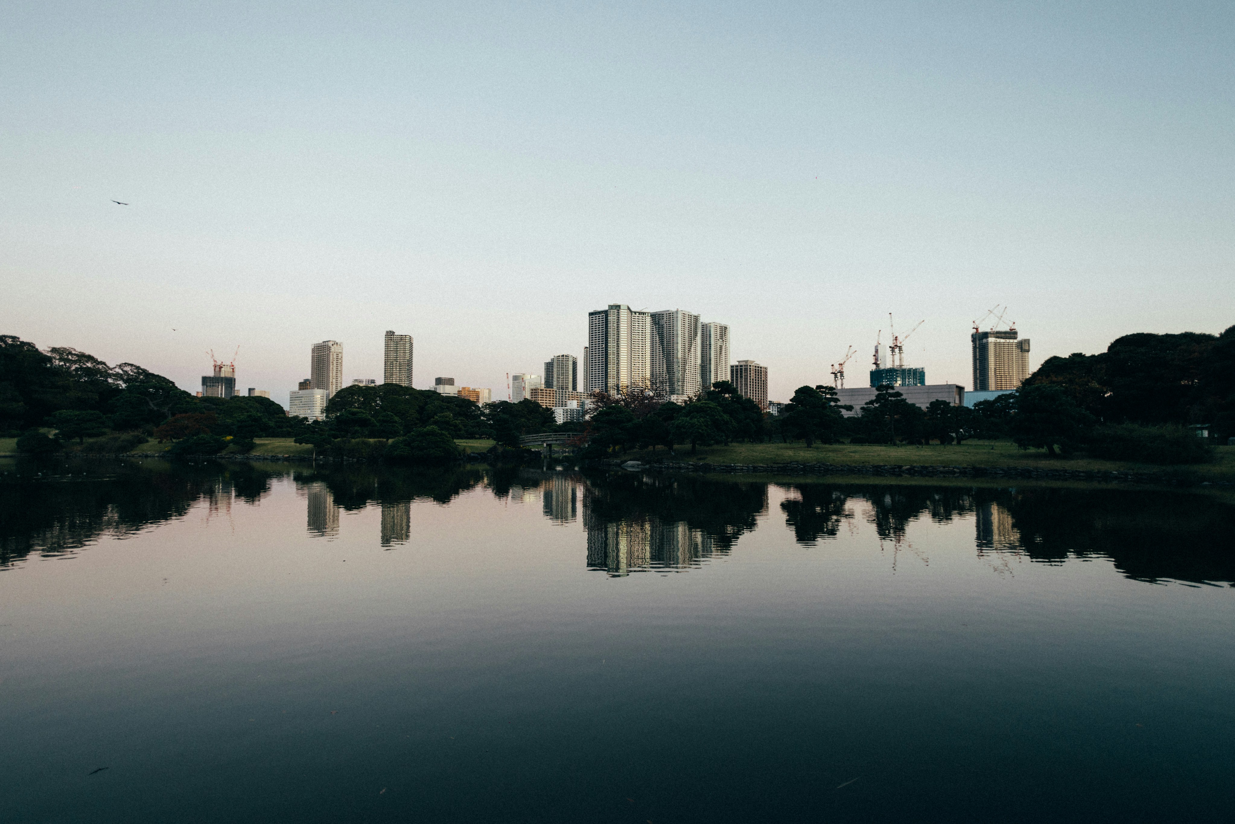 Photo by tsuyoshikozu