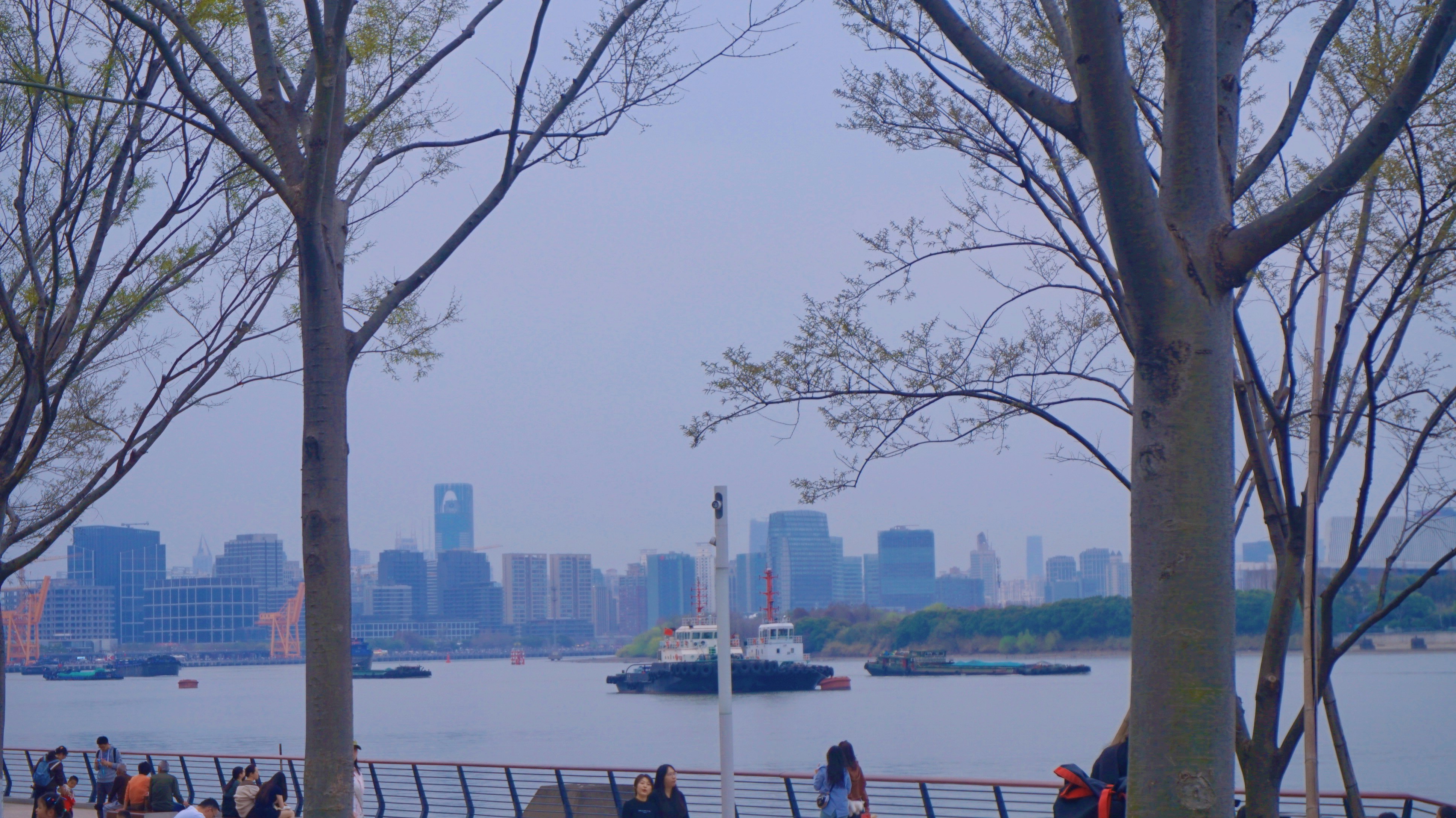 City skyline and boat framed by trees.