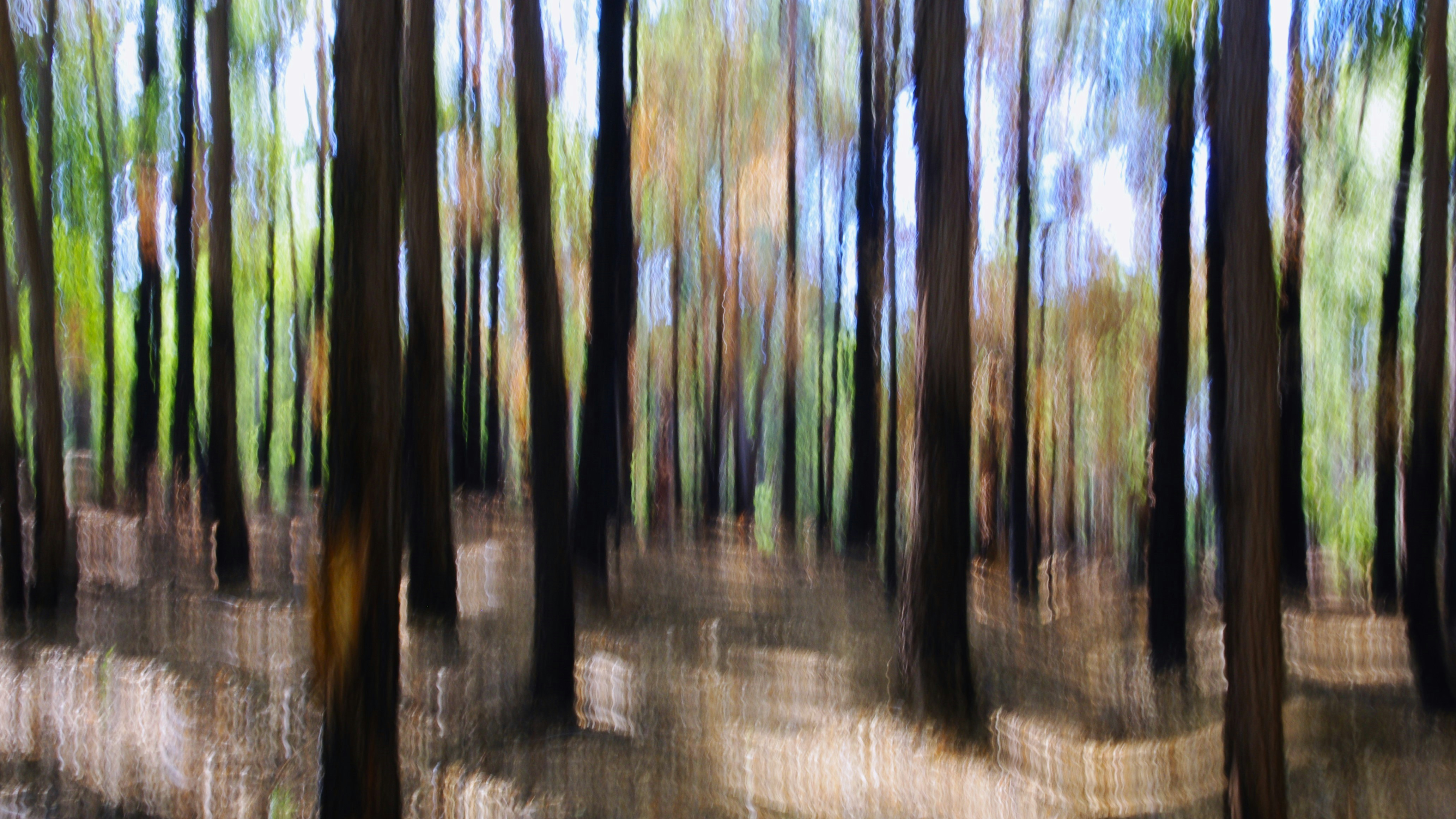 Photo by photoken123