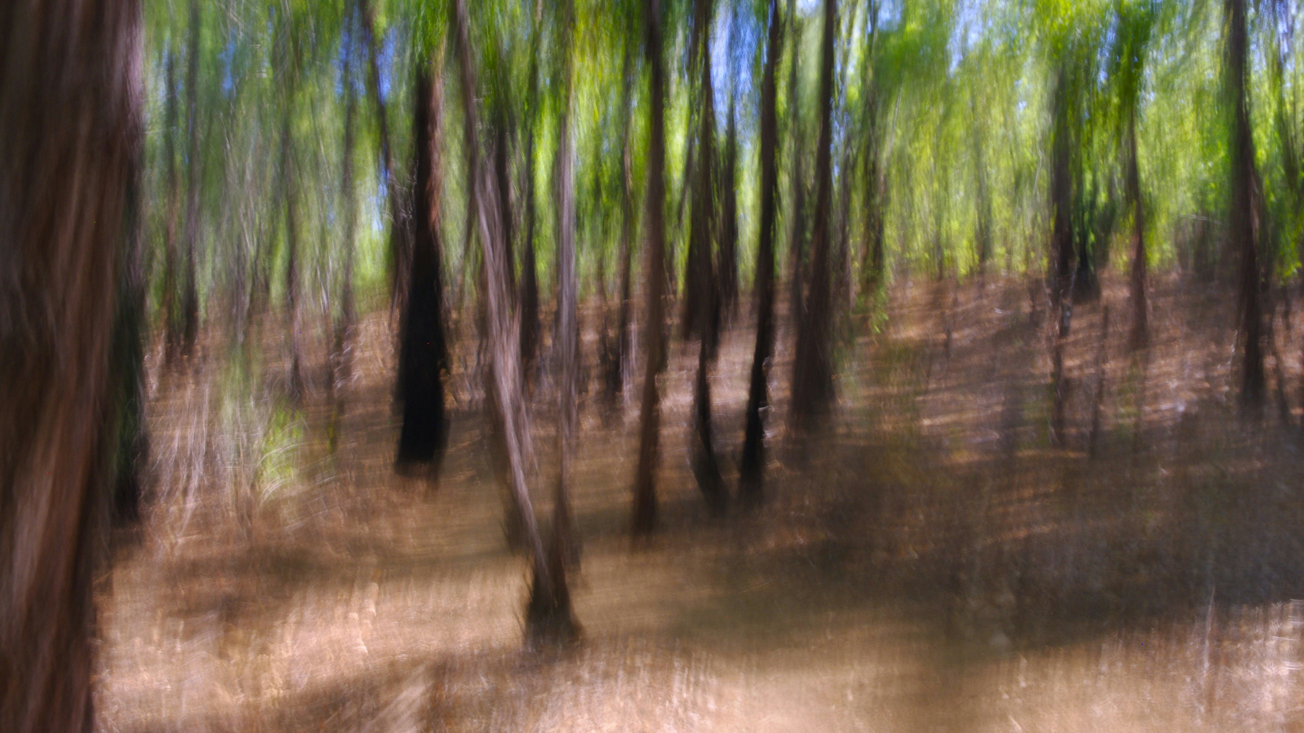 Photo by photoken123