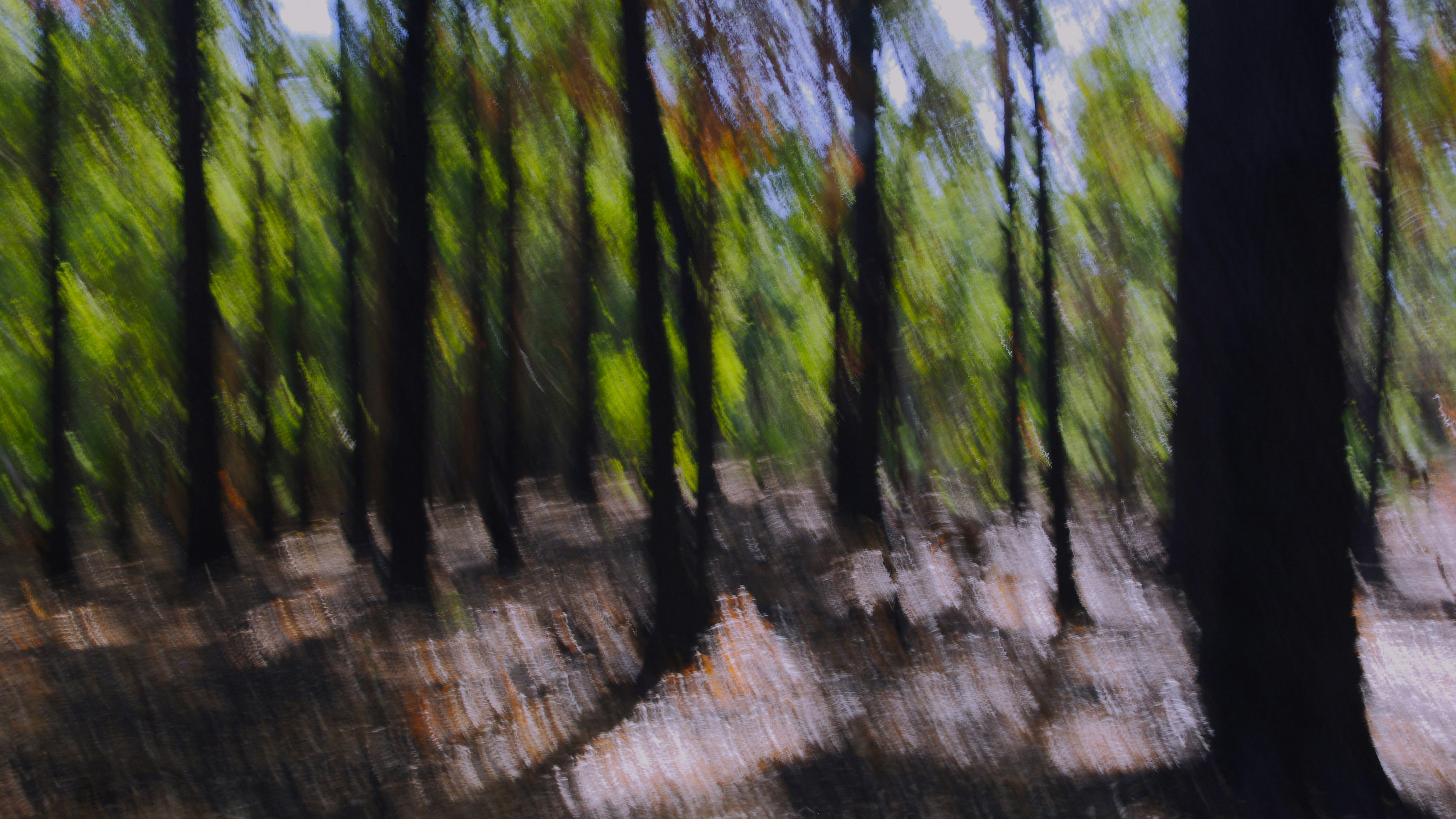 Photo by photoken123