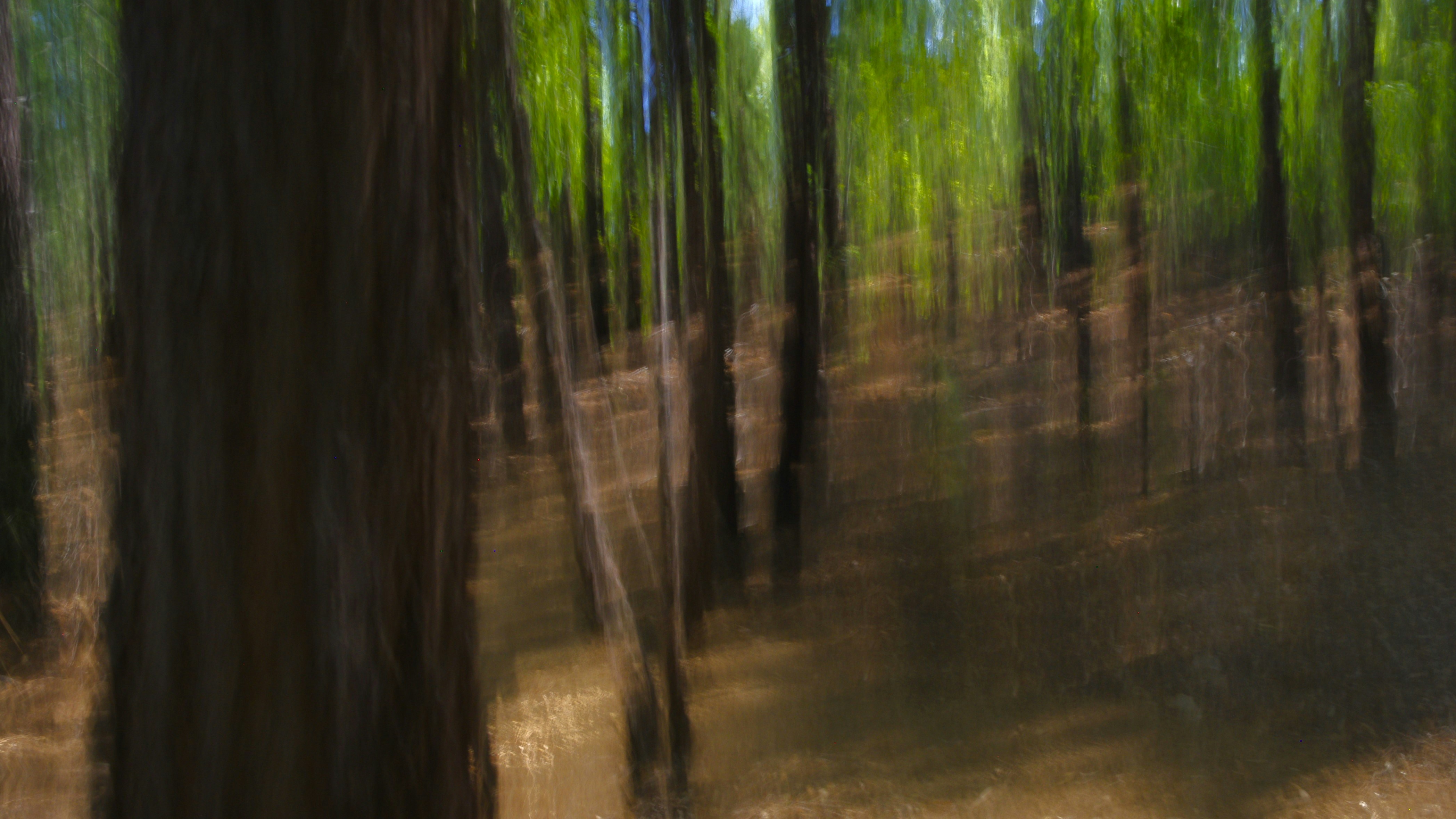 Photo by photoken123