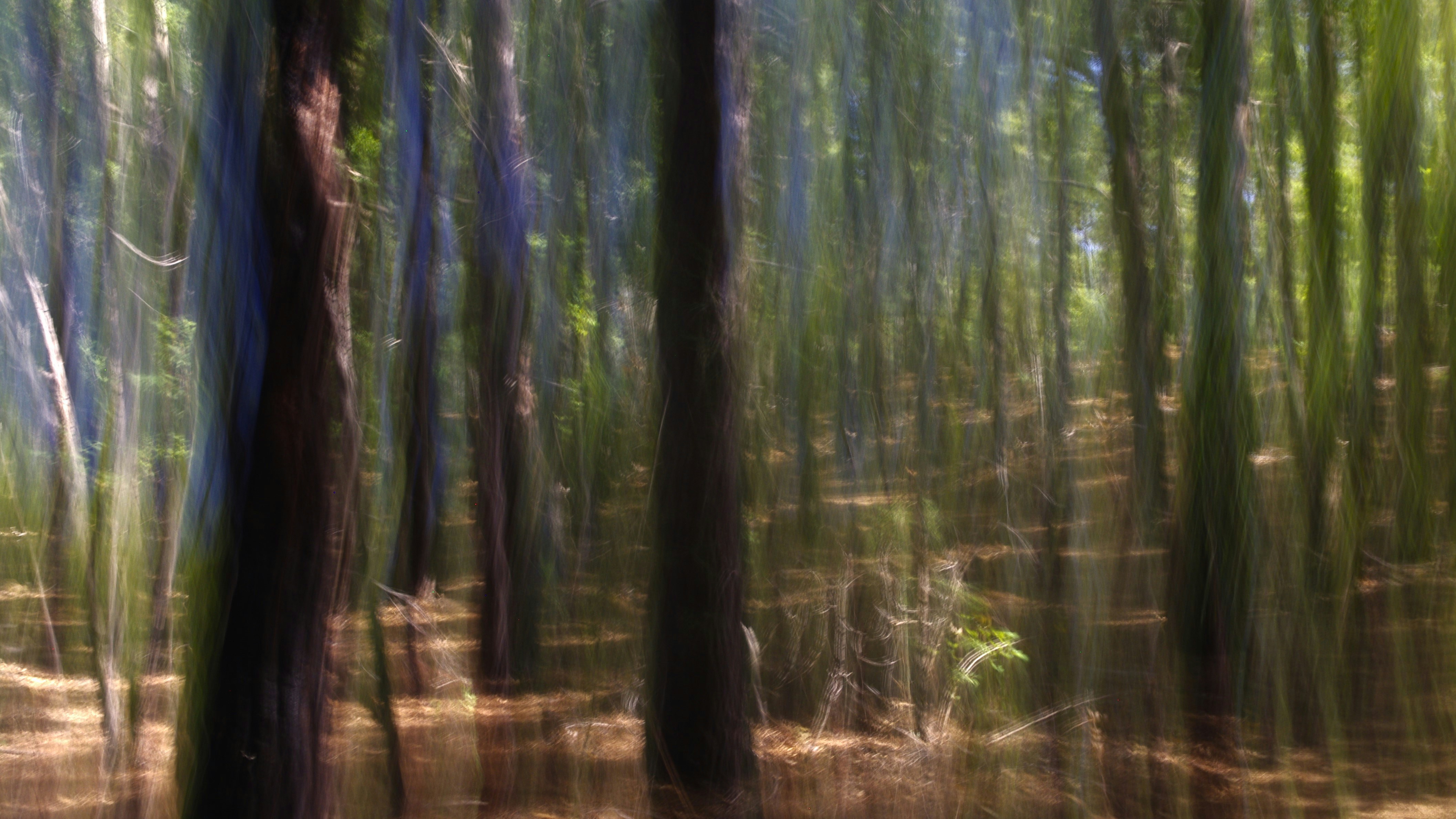 Photo by photoken123