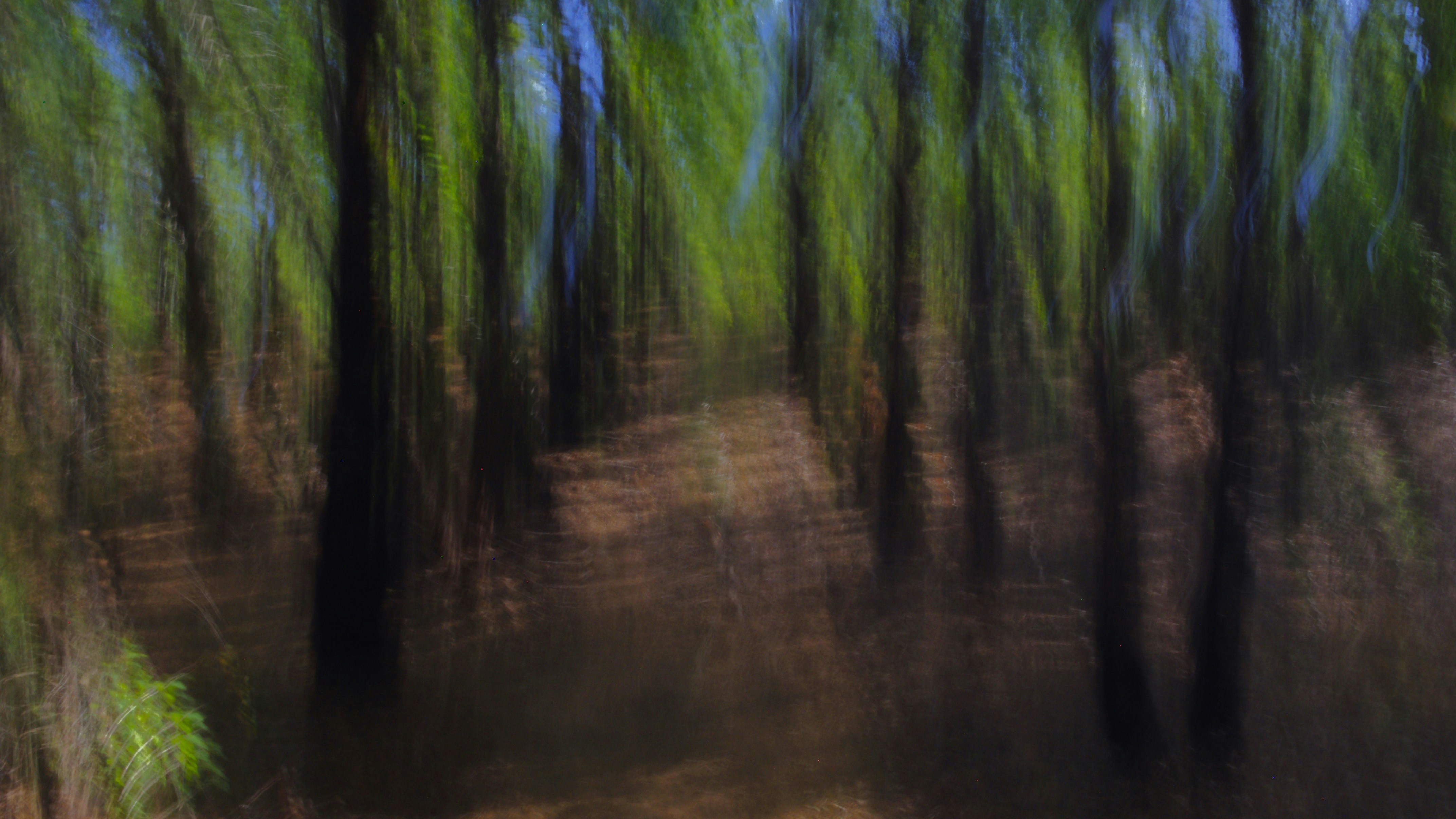 Photo by photoken123