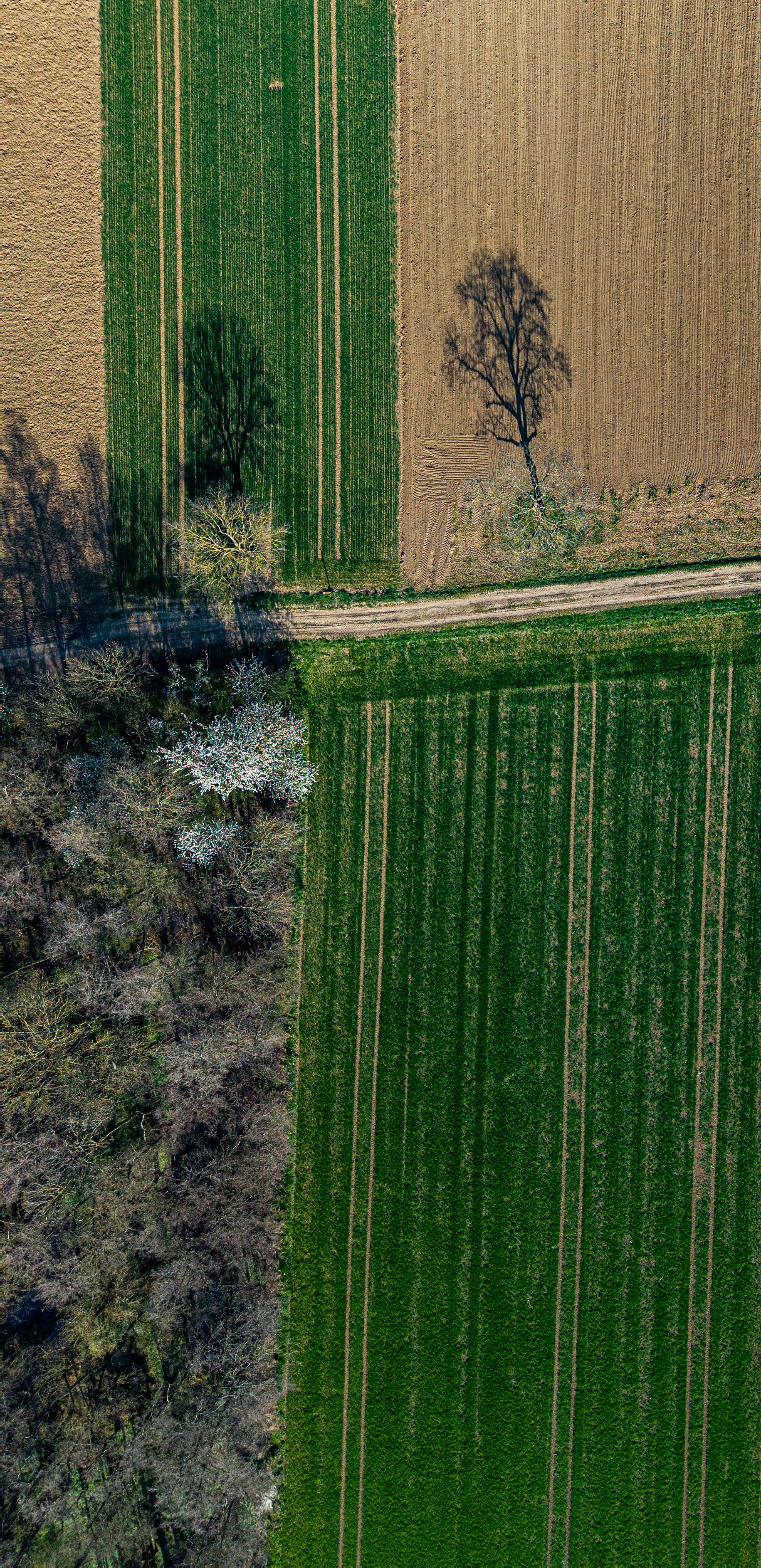 border landscape aerial, wallpaper, Drone dalam Sengketa Perbatasan Modern 5