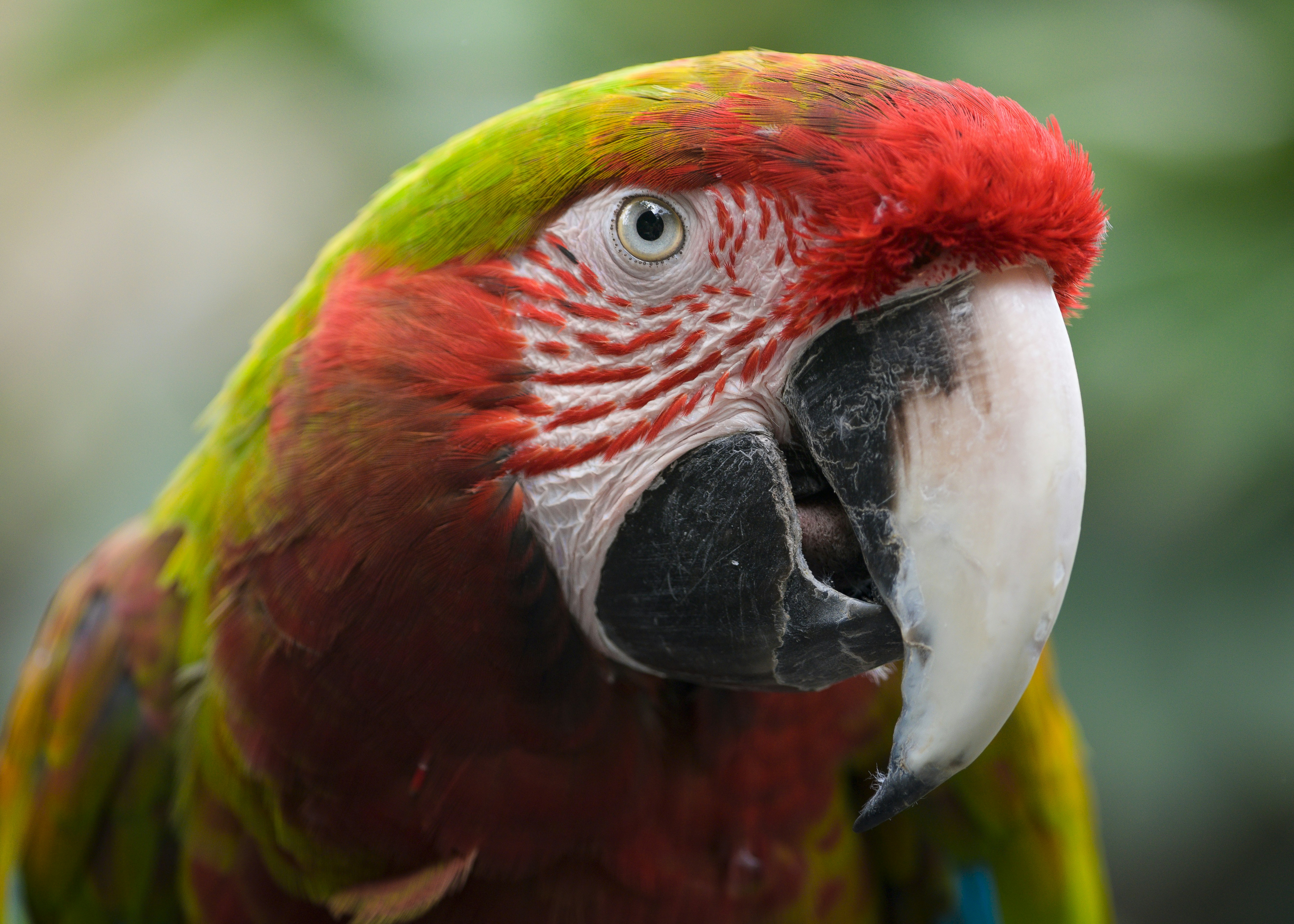 Photo by albertstoynov