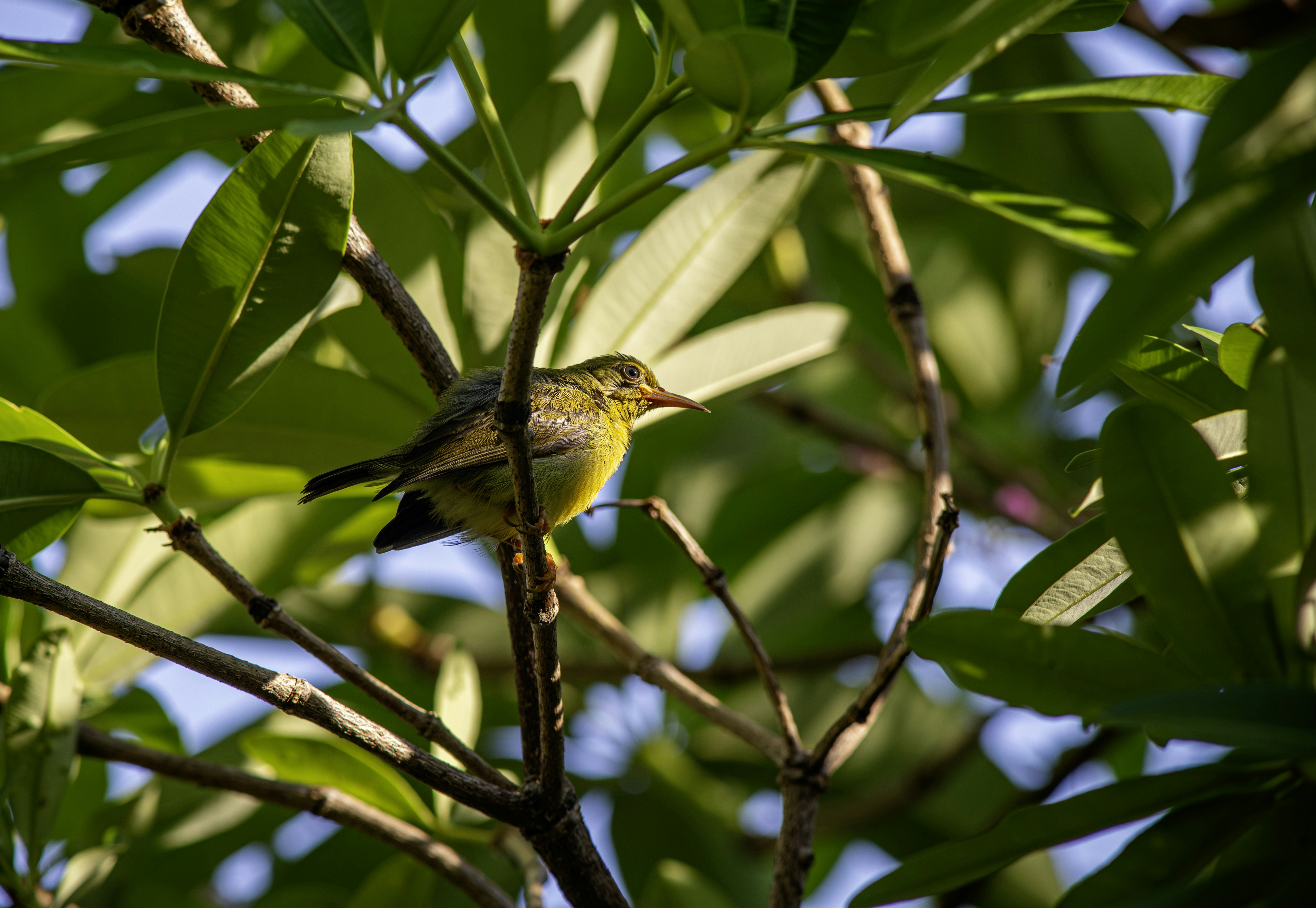 Photo by erik_karits