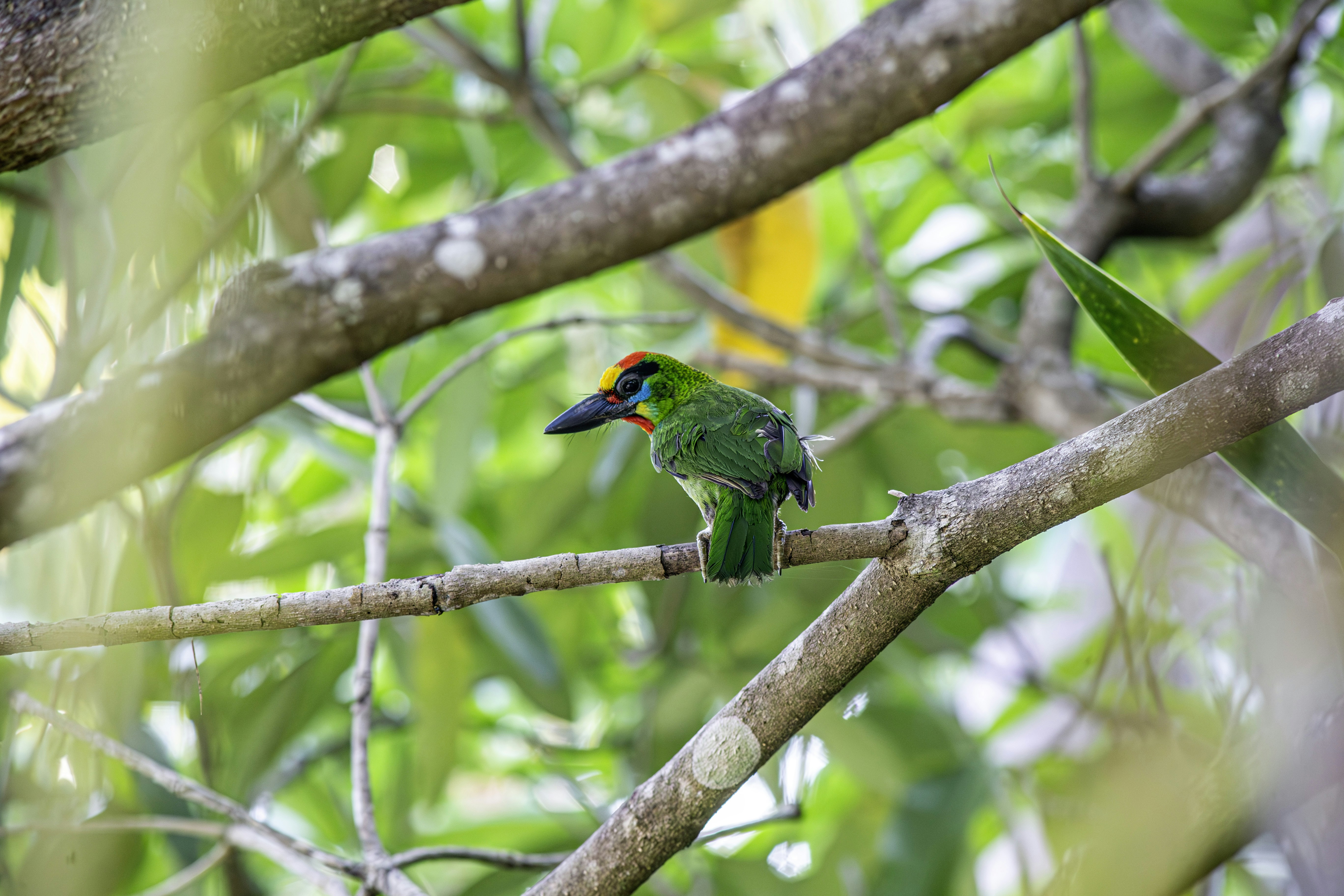 Photo by erik_karits