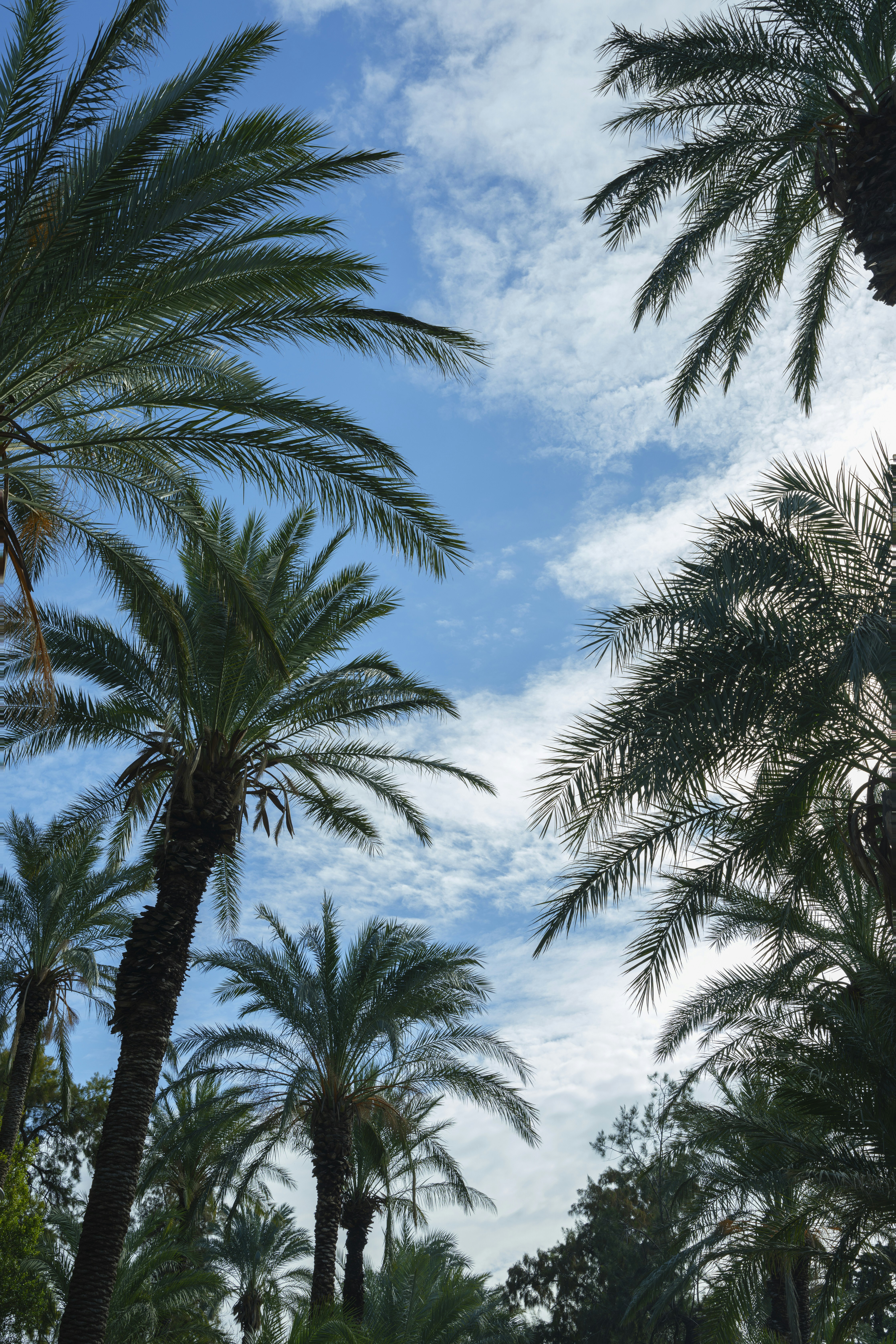 Photo by enginakyurt