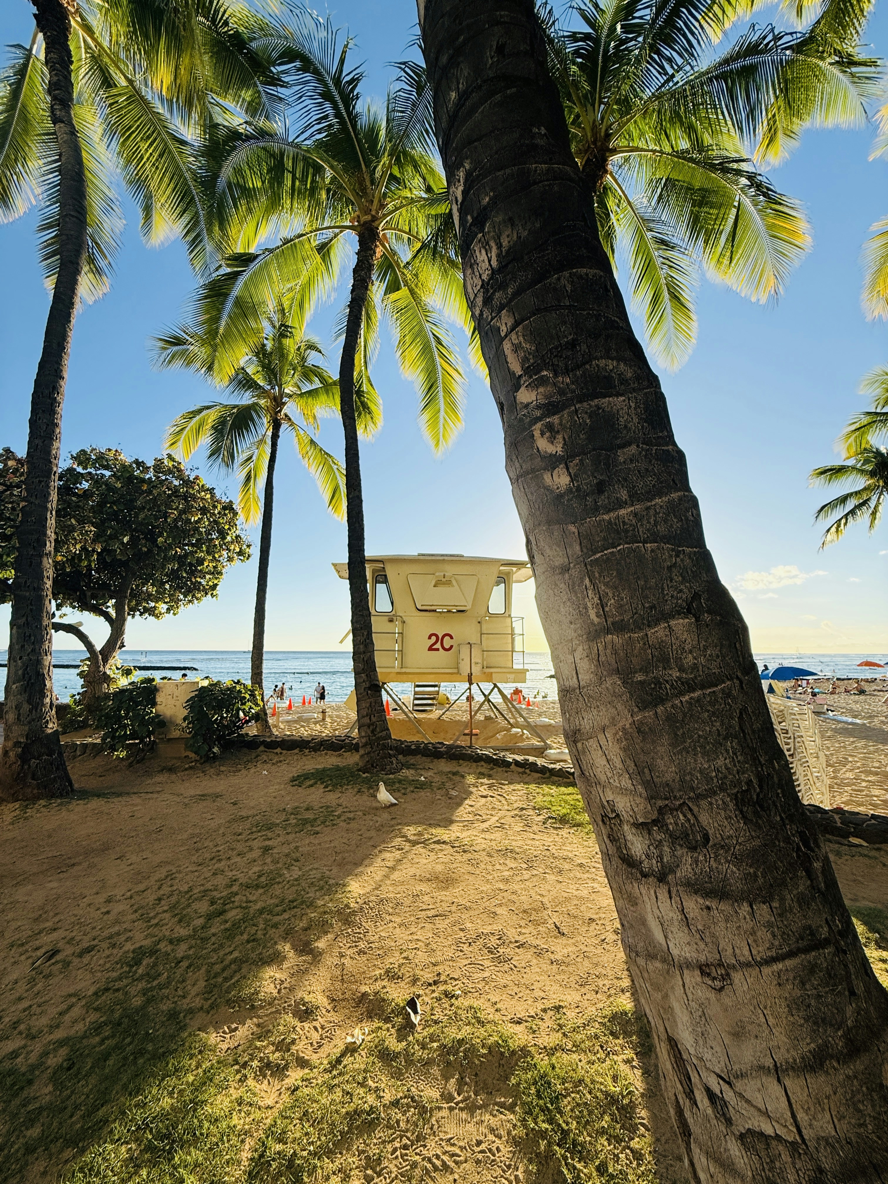 Waikiki Beach & Hawaiian Paradise