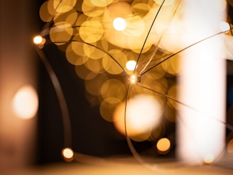 String lights glow with a warm bokeh effect.