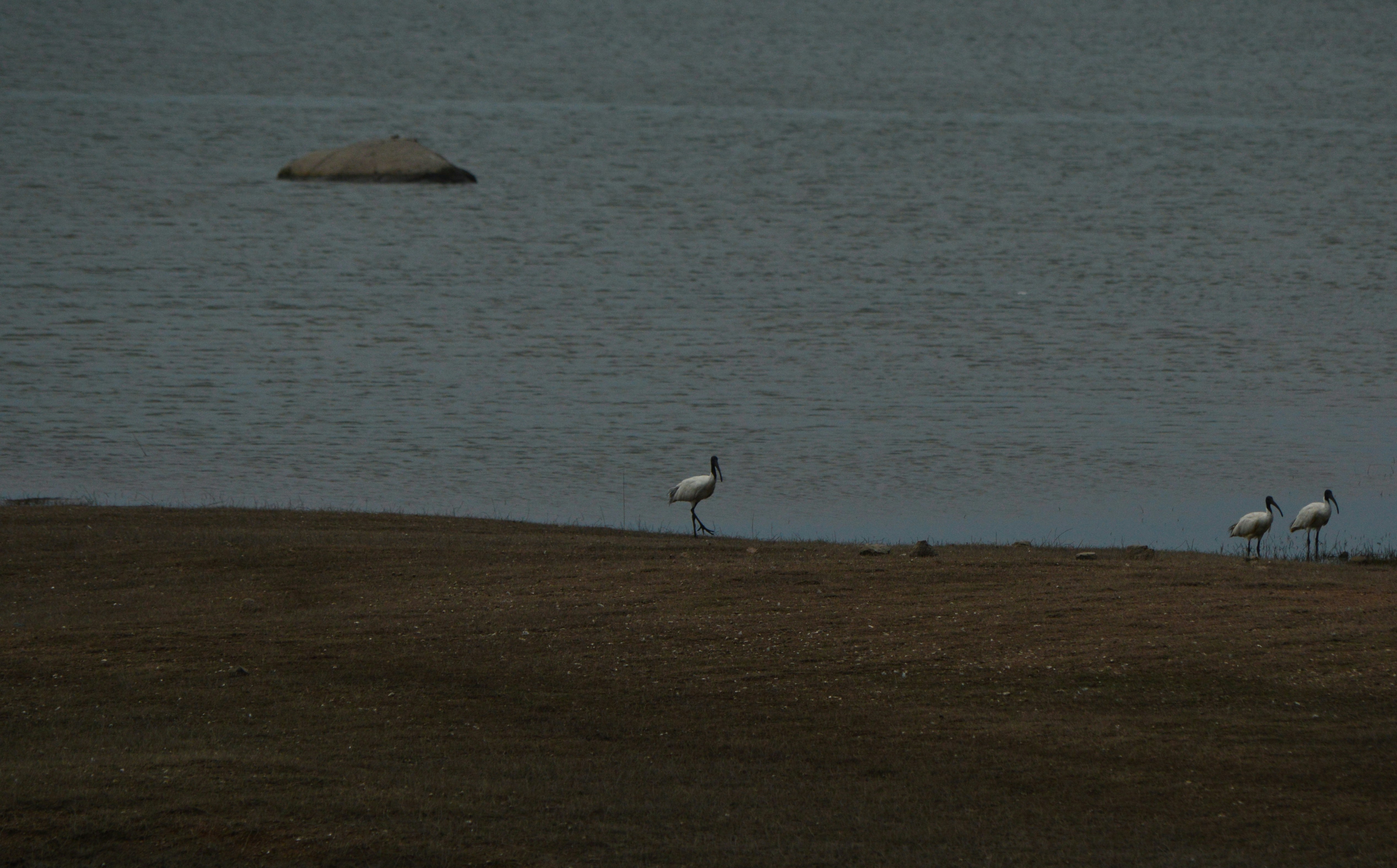 Photo by shreyansh_mishra