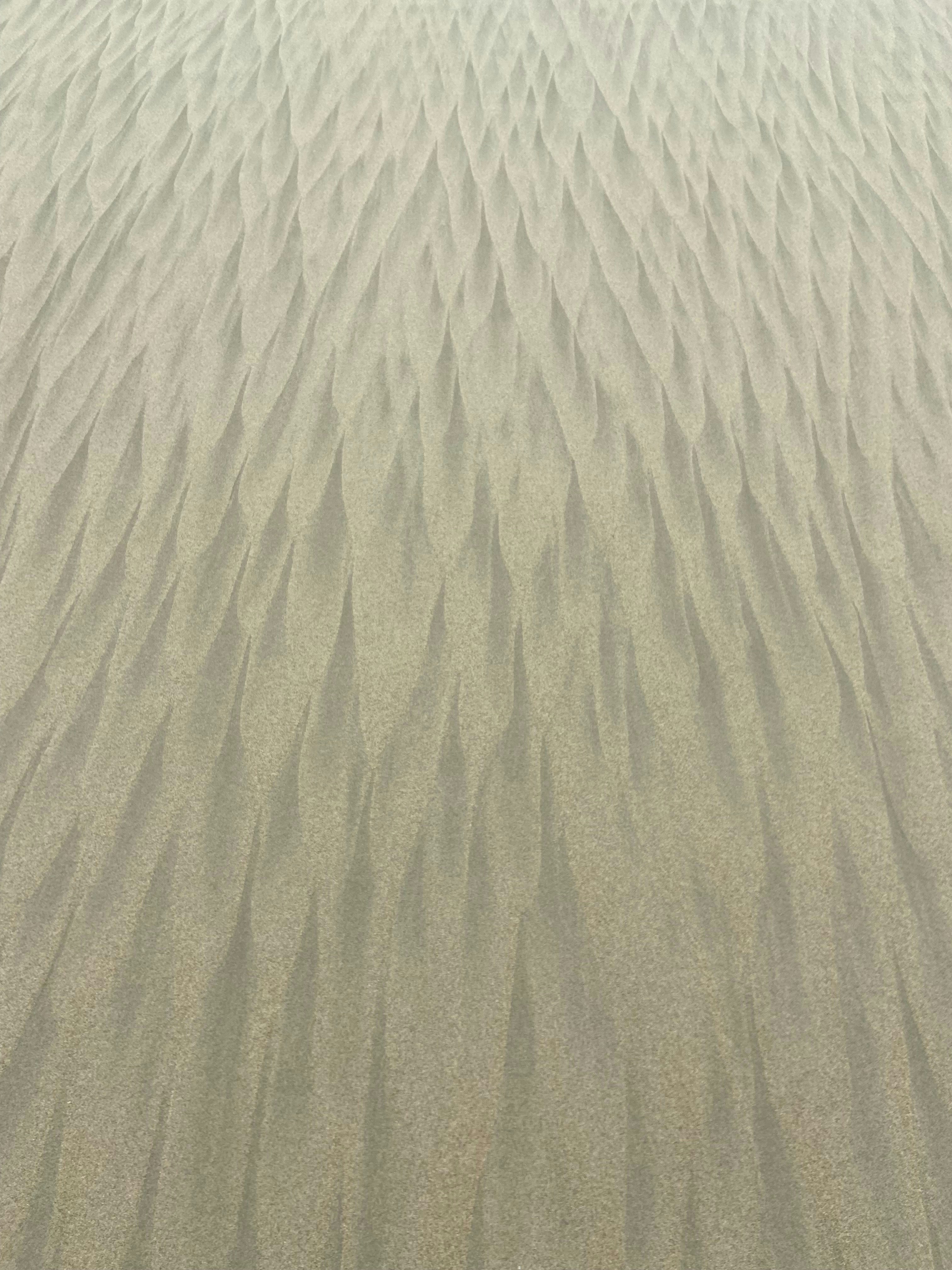 Photo by buithanhhuong