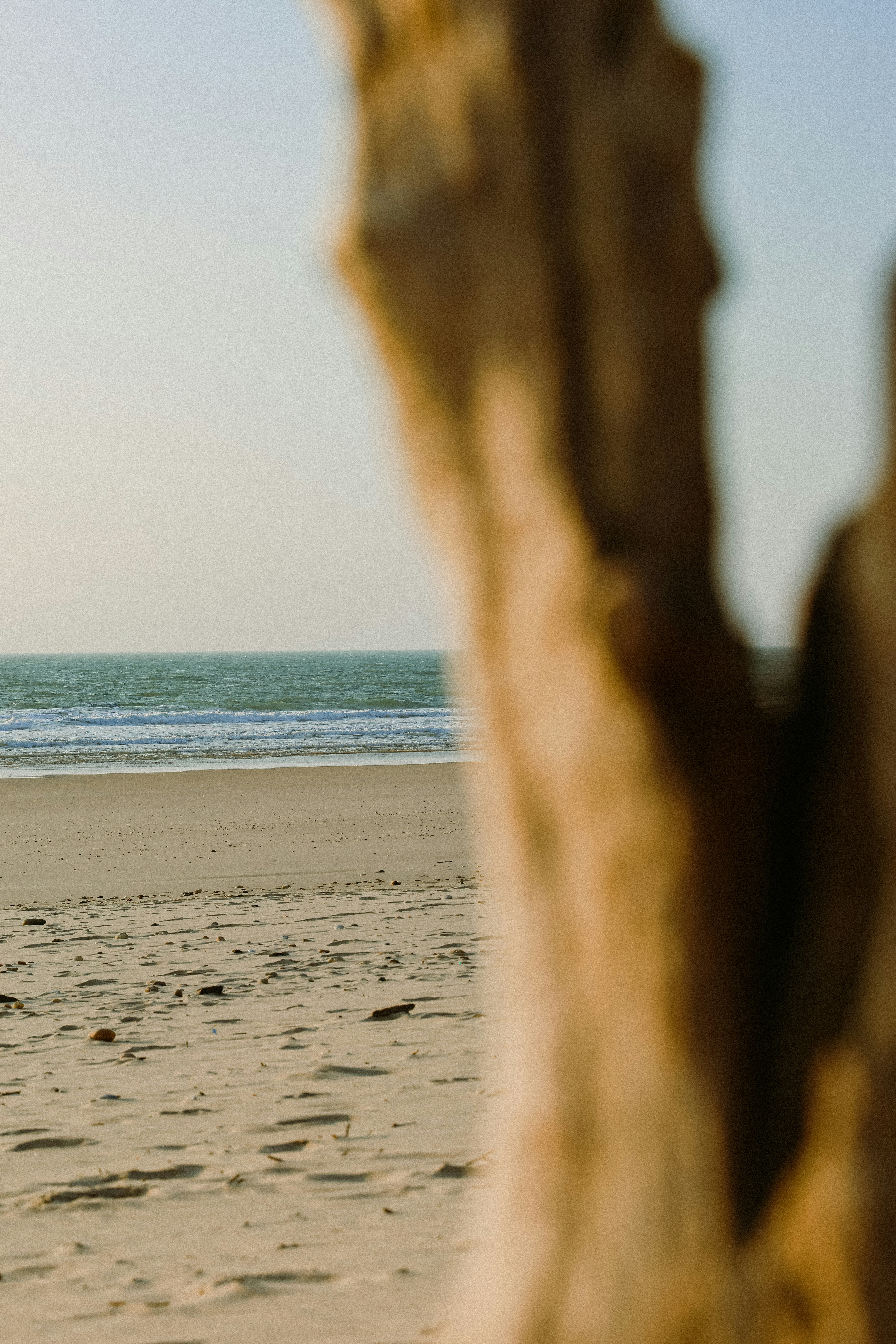 Beach and ocean viewed through blurred wood.