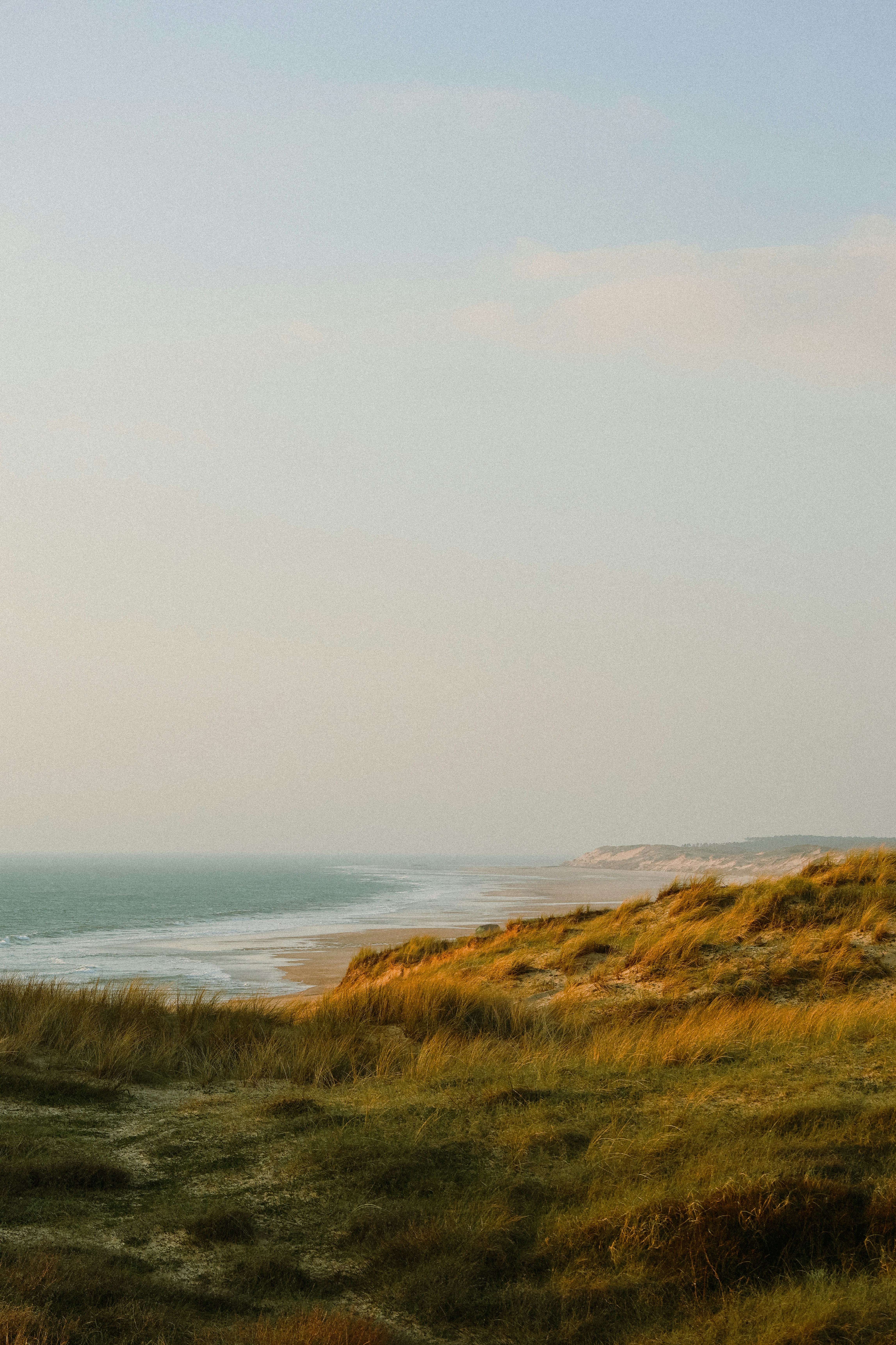 Photo by ombelinelpc