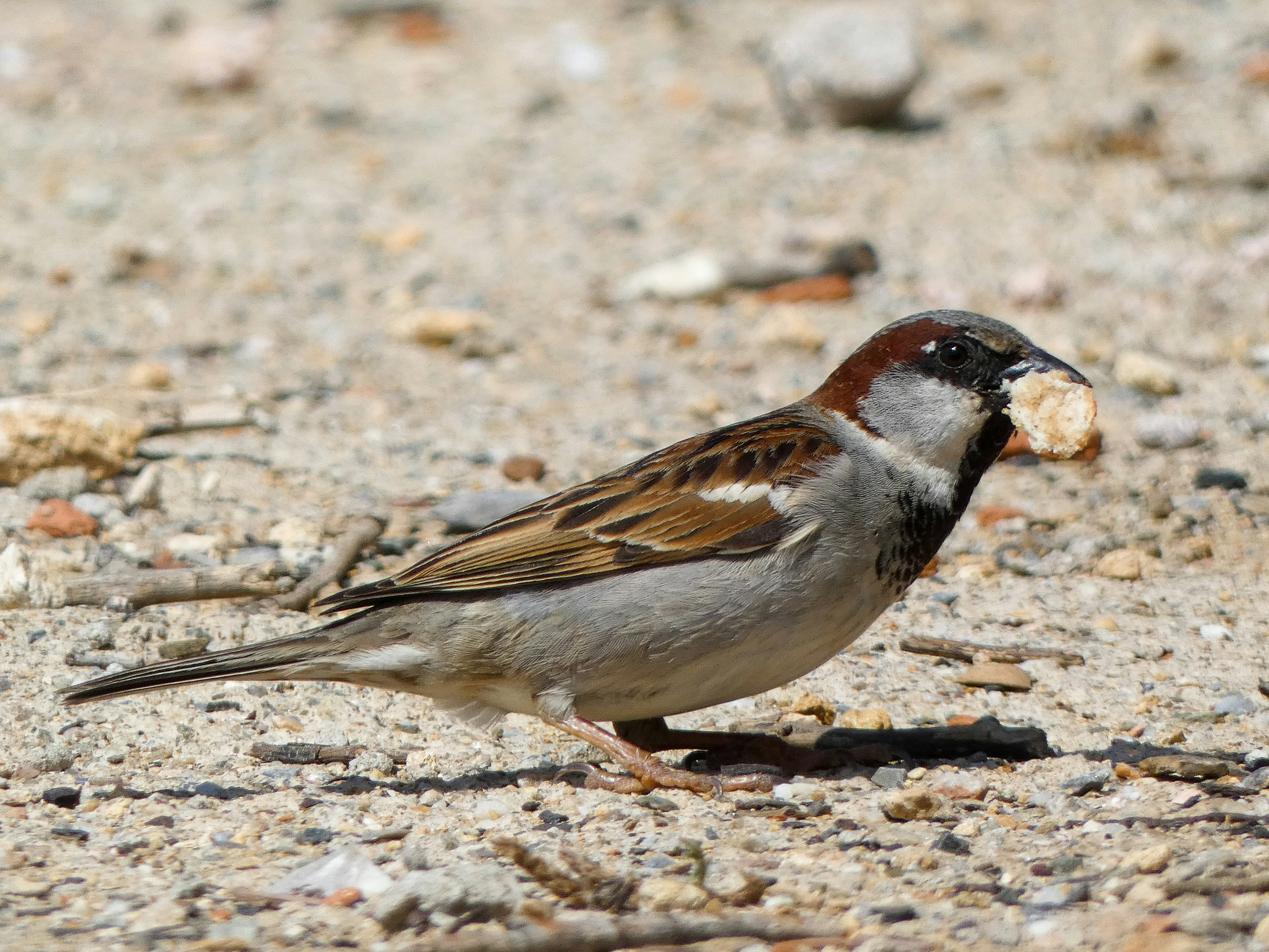 Photo by onderandinc