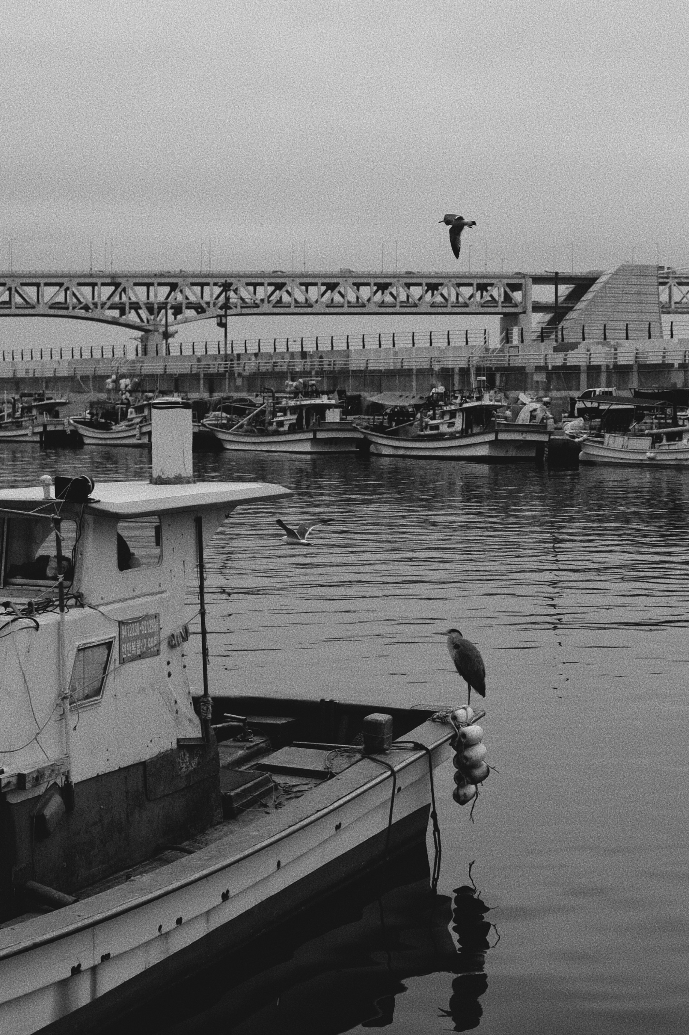 Photo by evgeniya_pron