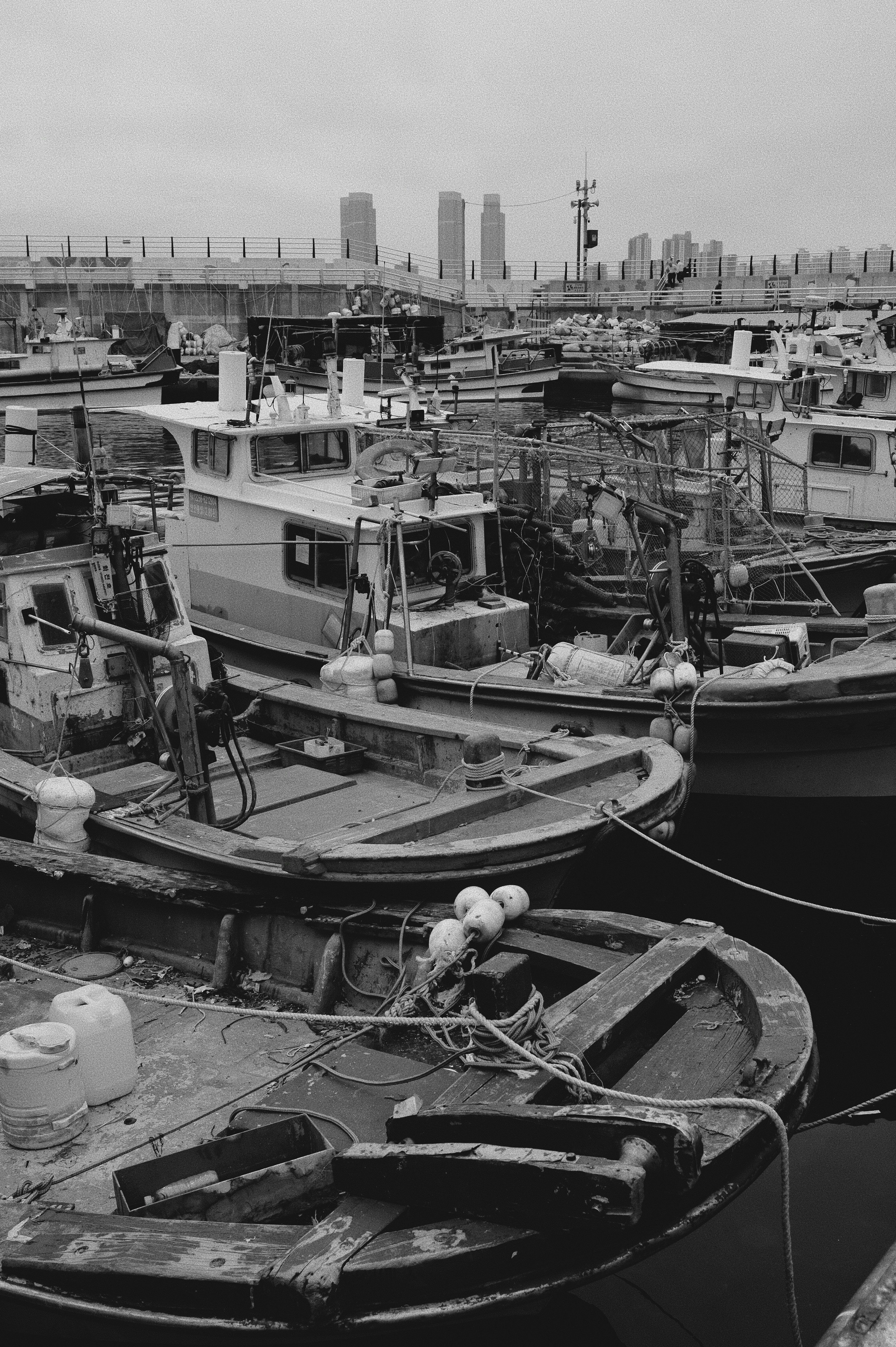 Photo by evgeniya_pron