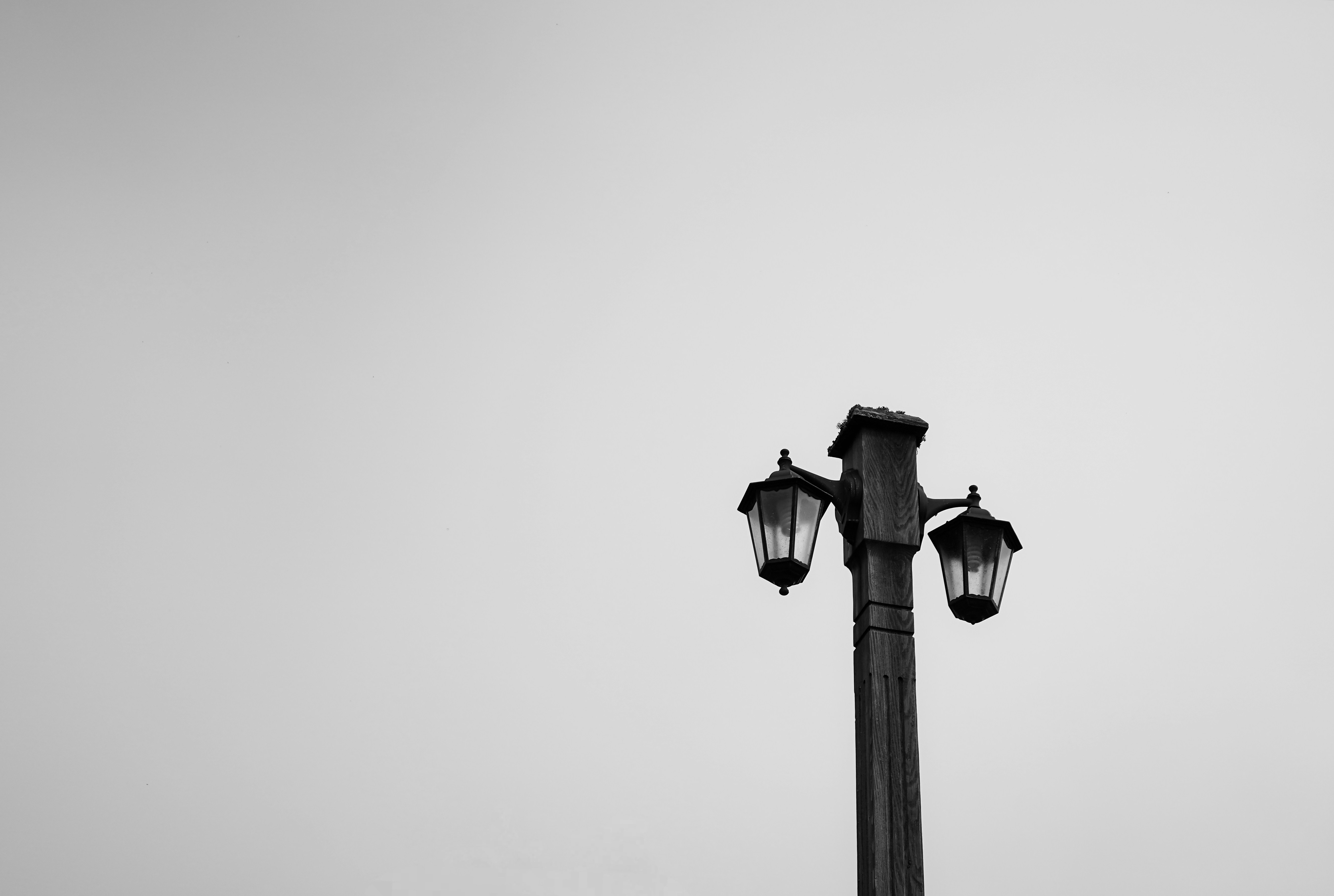 Photo by nedimshoots