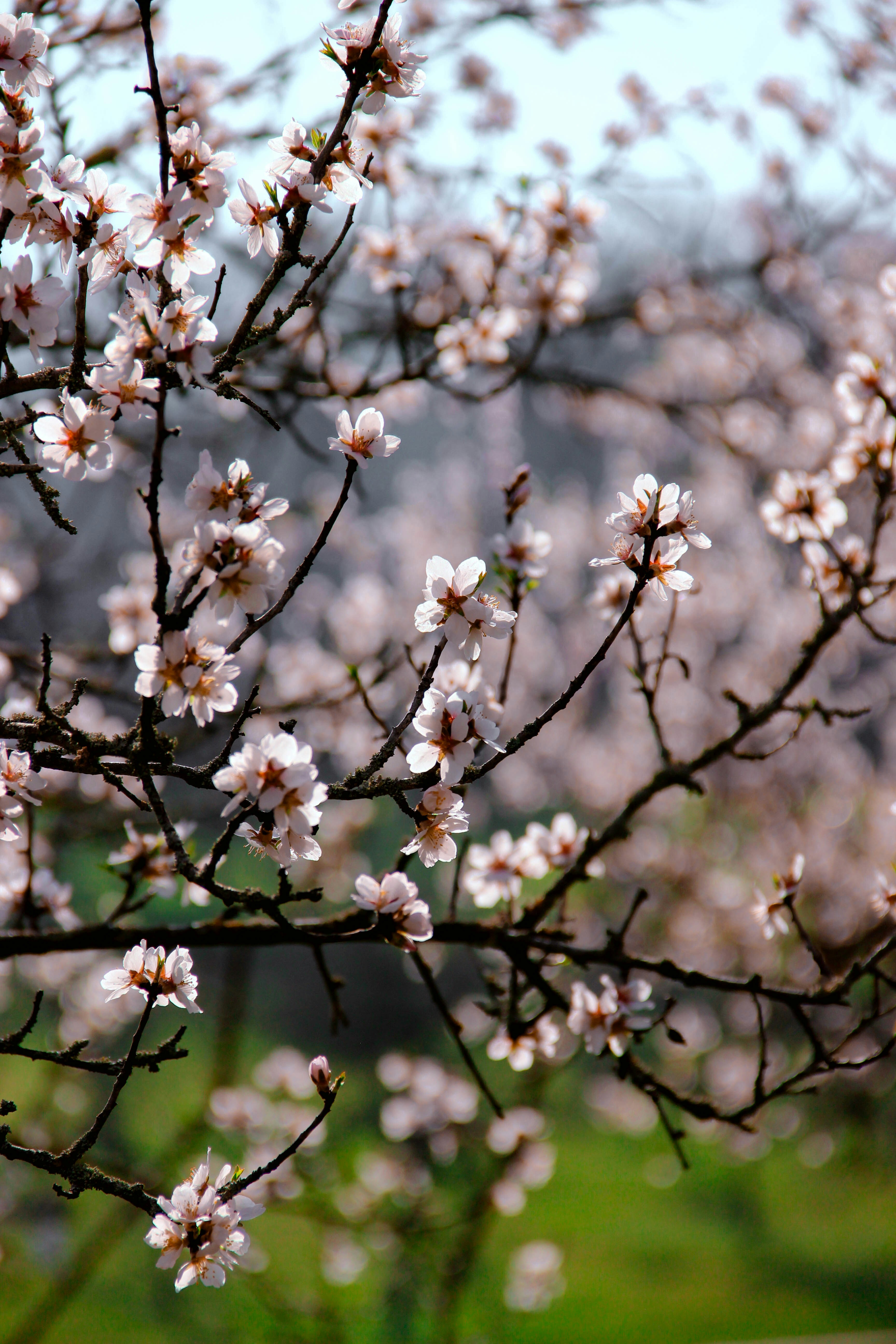 Photo by daniyarorazov