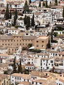 White buildings fill a densely packed hillside.