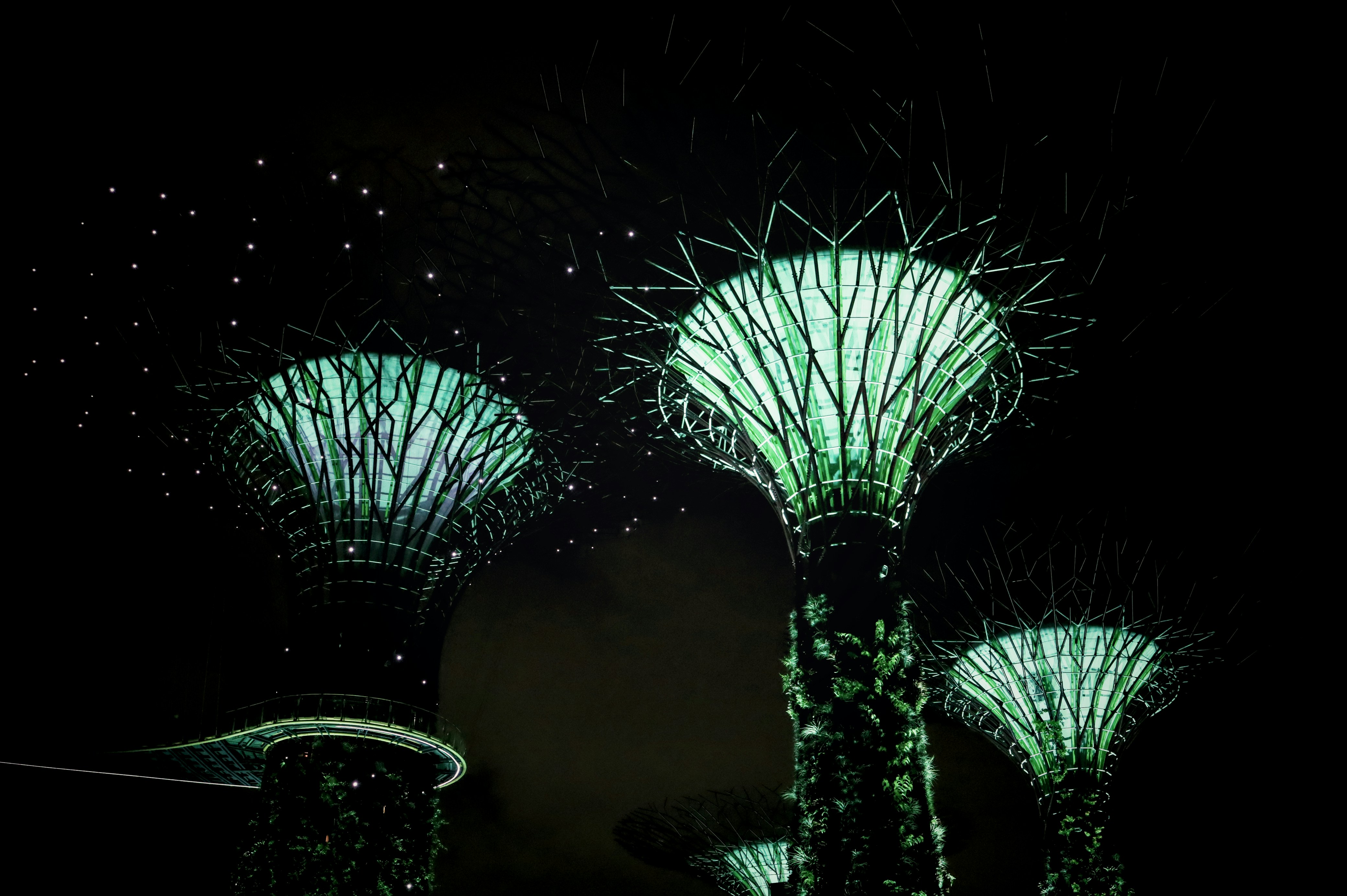 Photo by evgeniya_pron