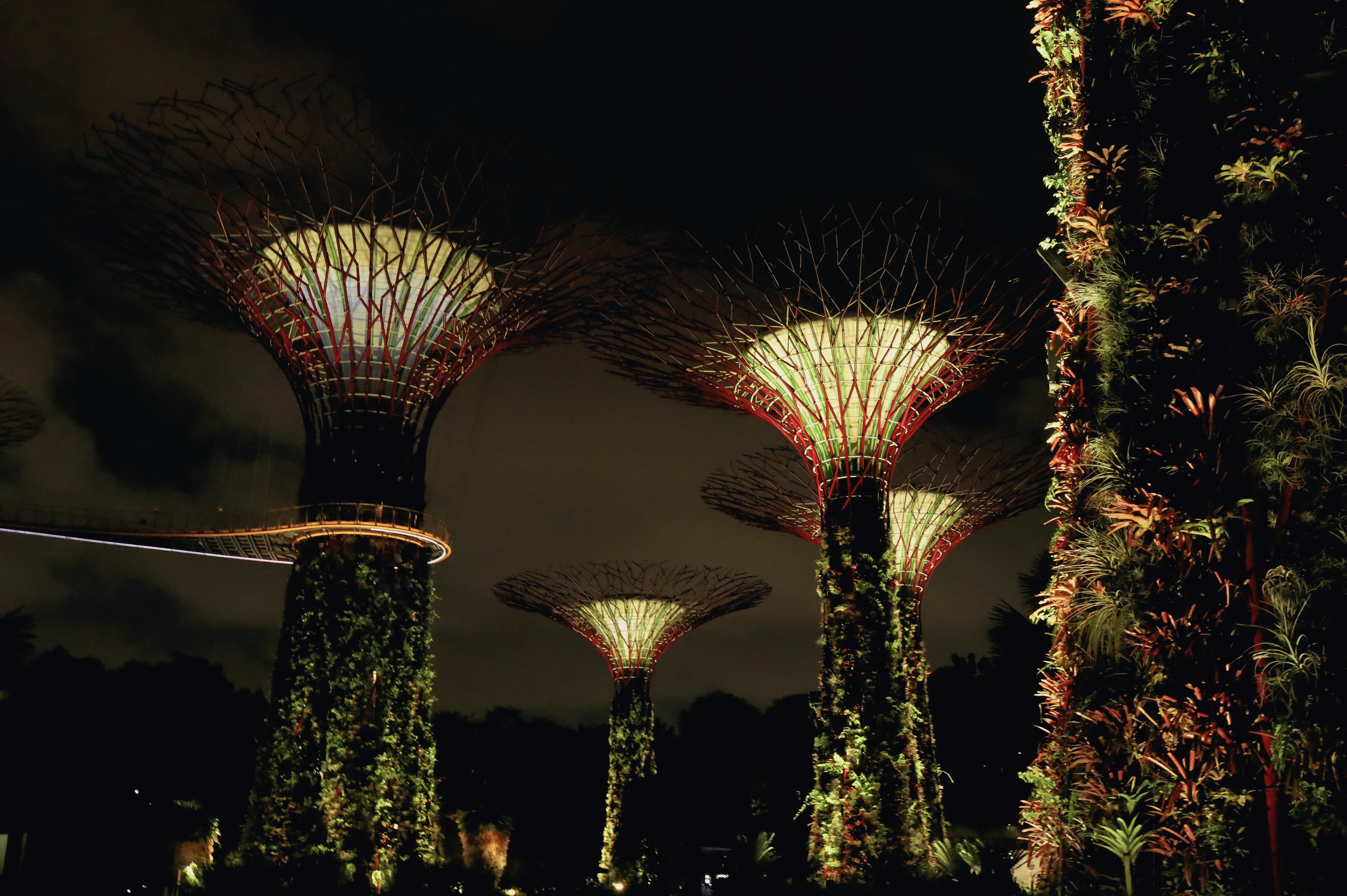 Photo by evgeniya_pron