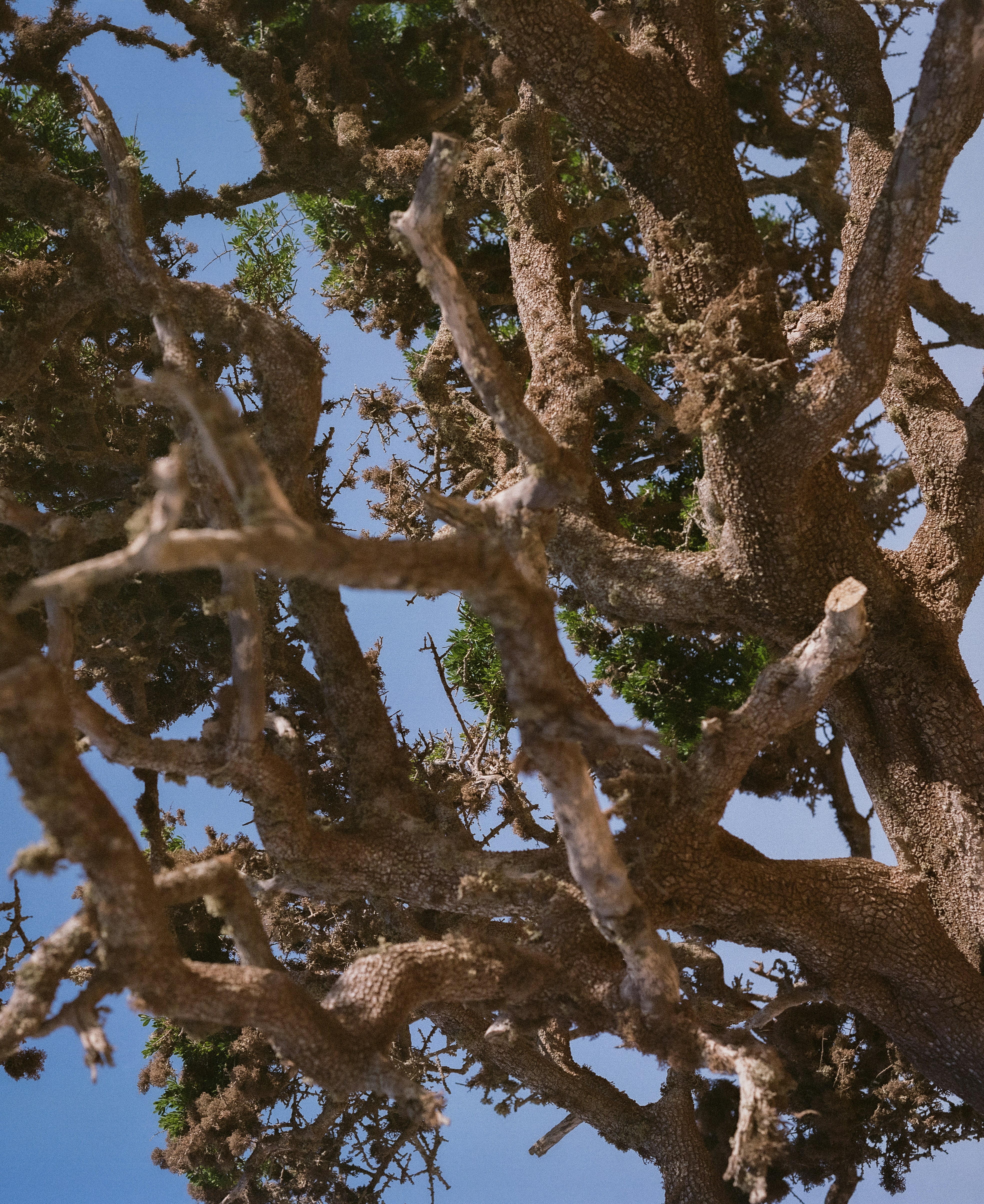 Photo by jesseplum01