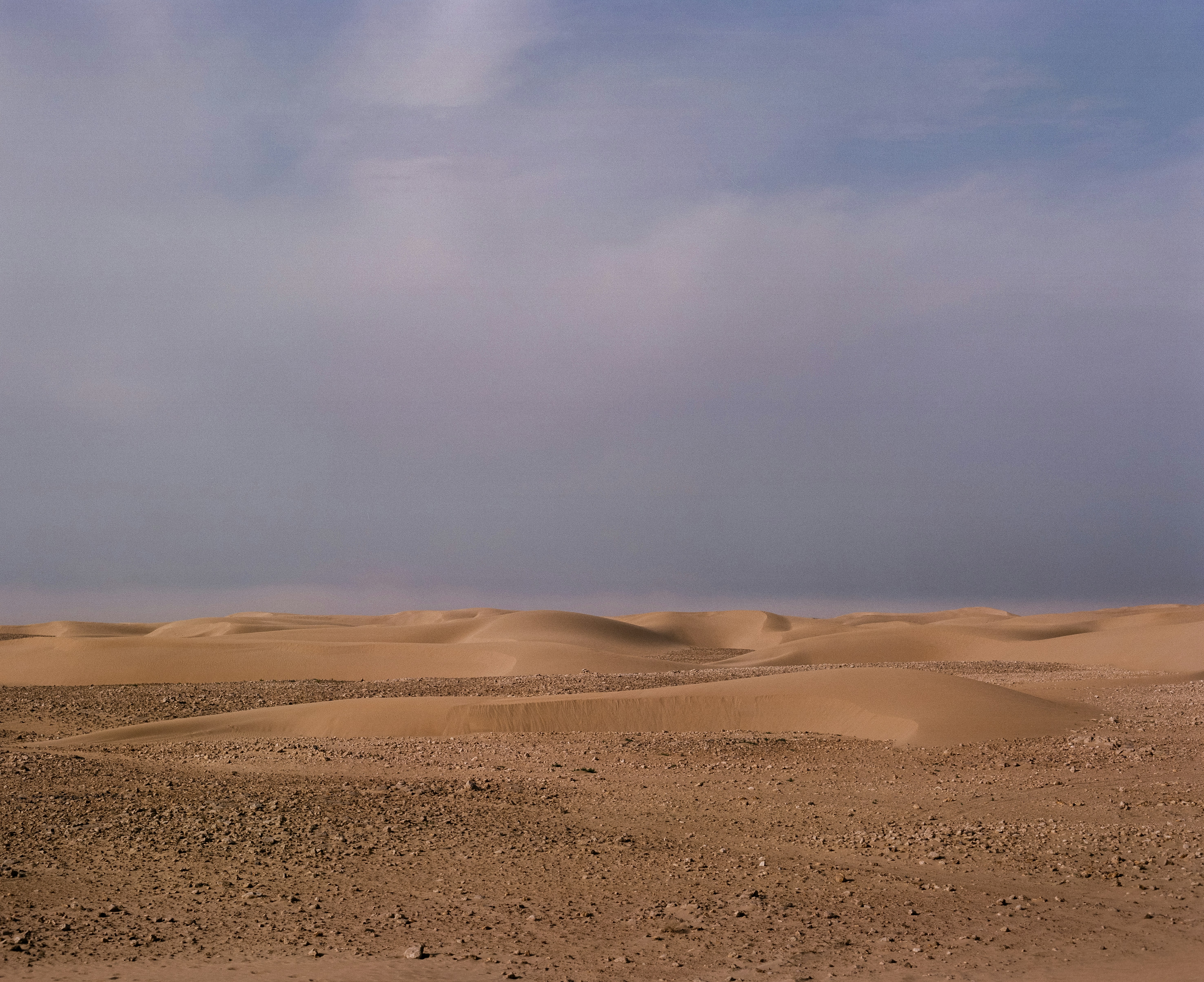 Photo by jesseplum01