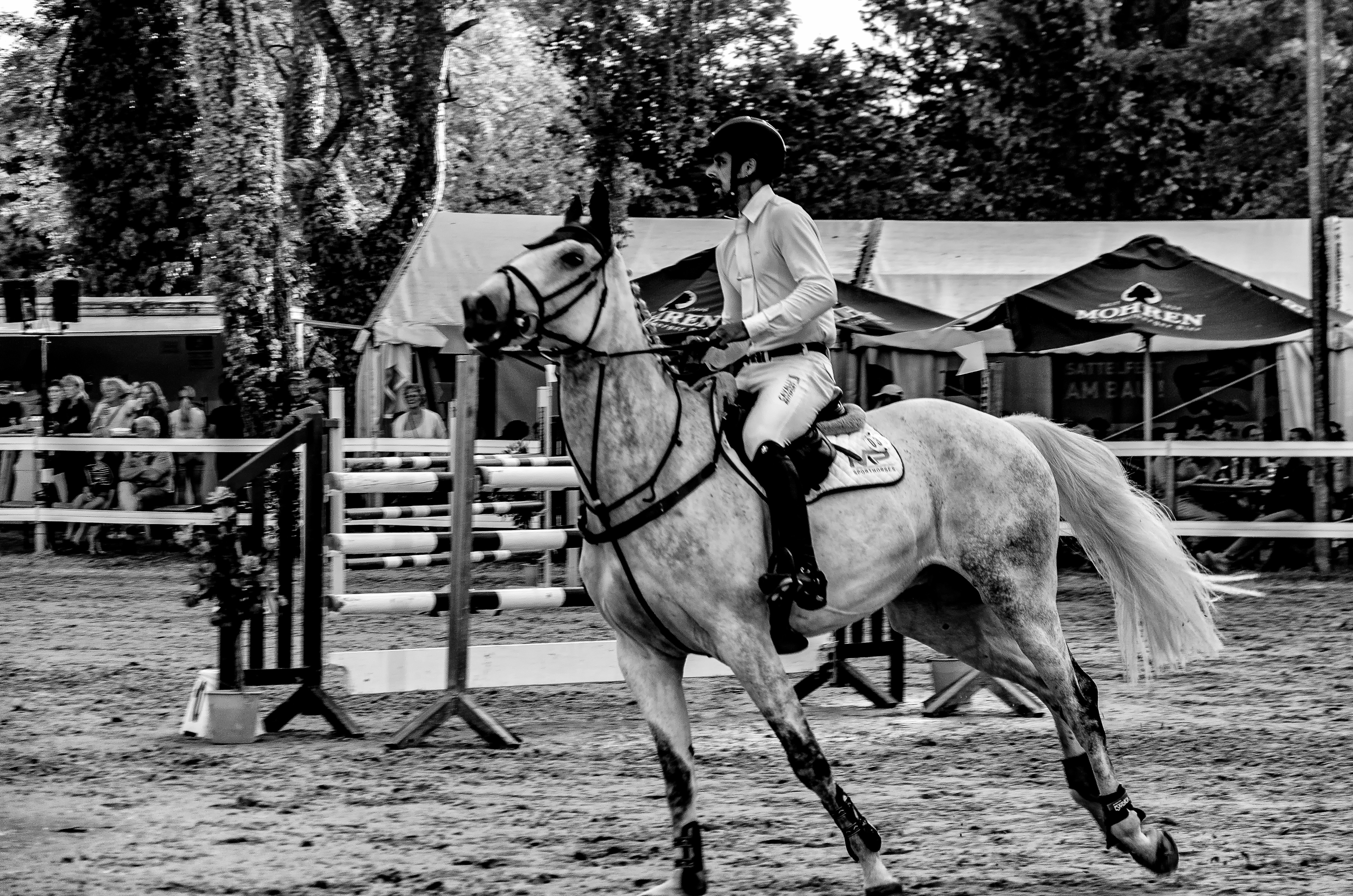 A horse and rider jump over an obstacle.
