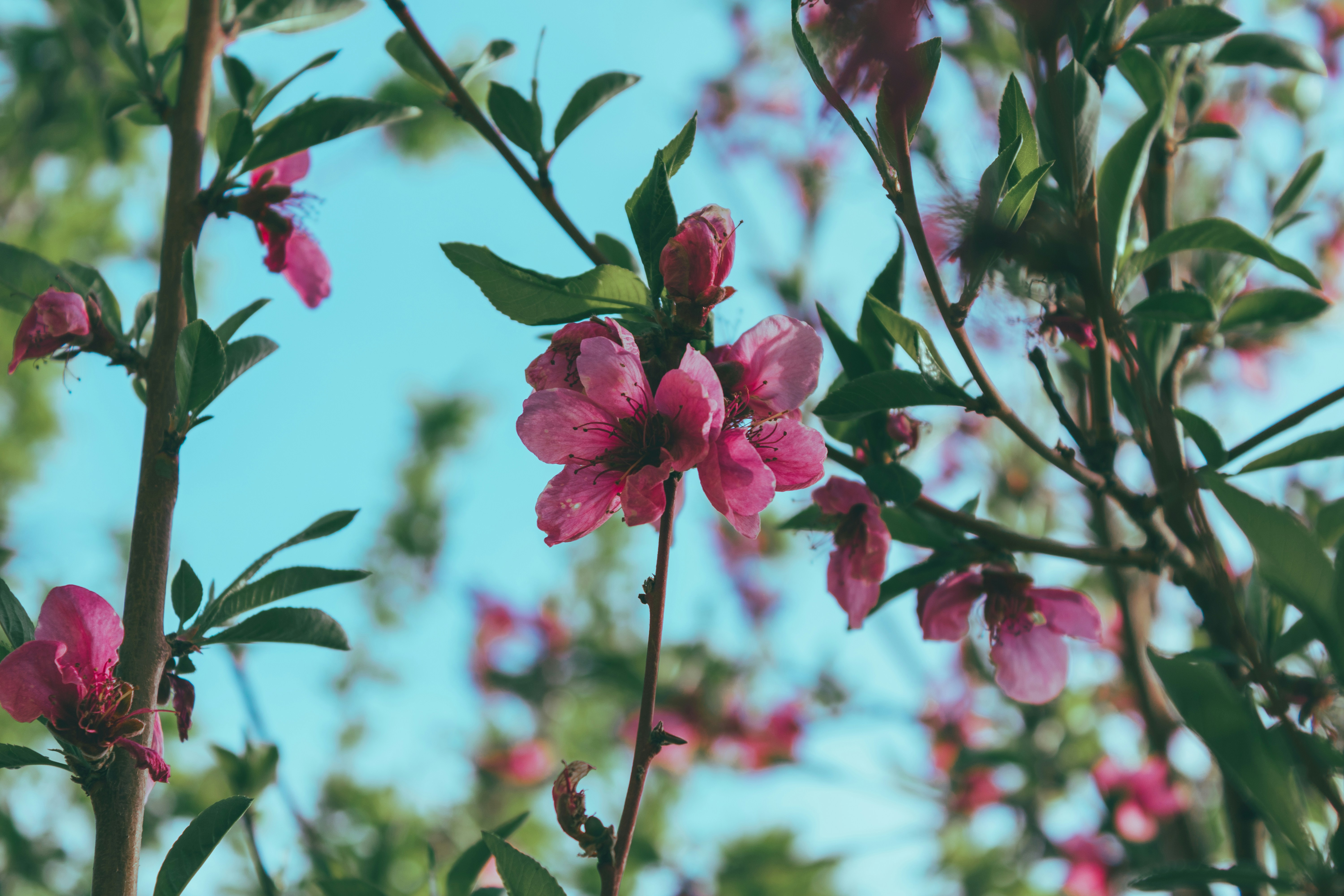 Photo by mohammadelikaei