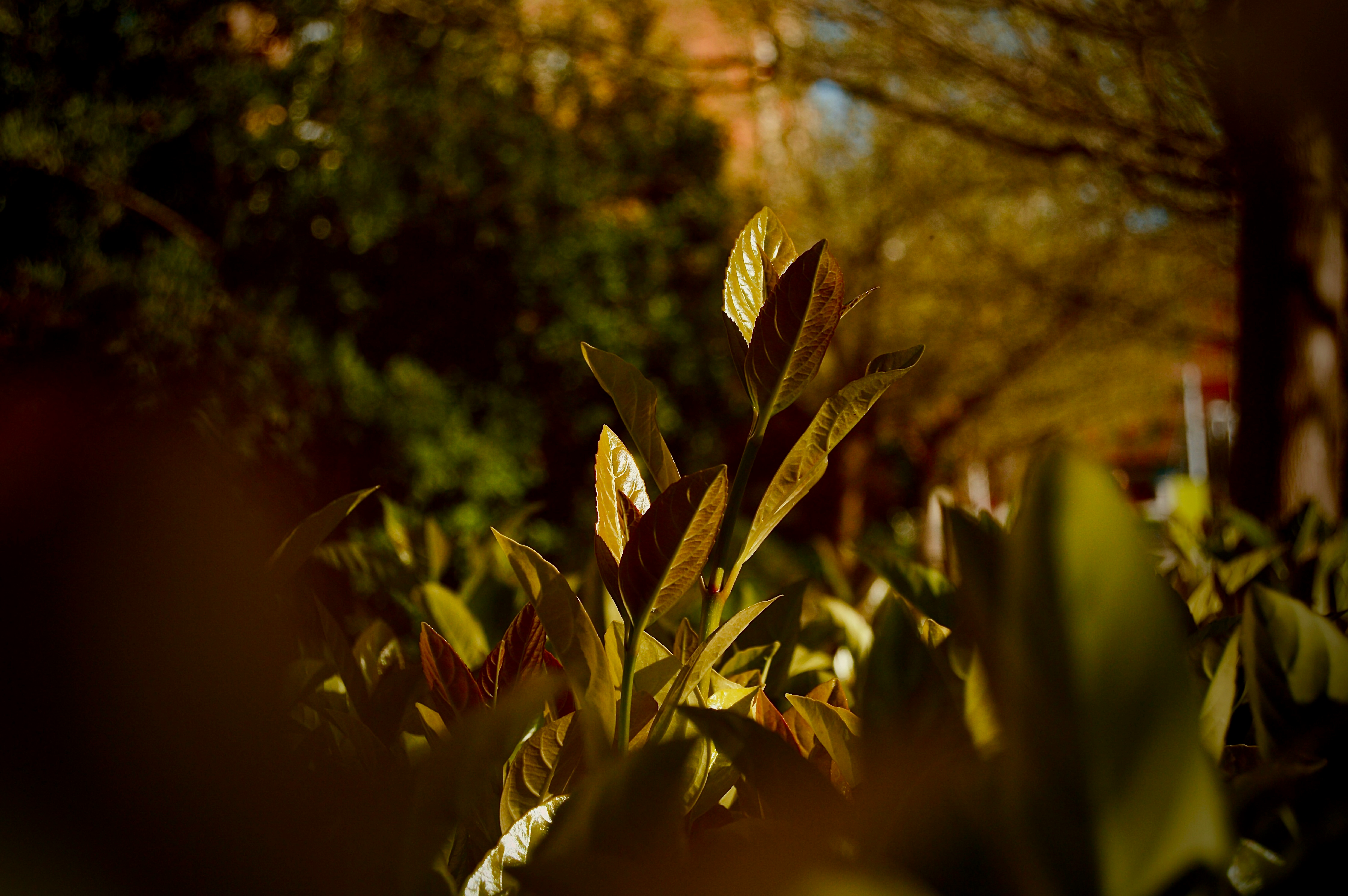 Photo by antoniozarza