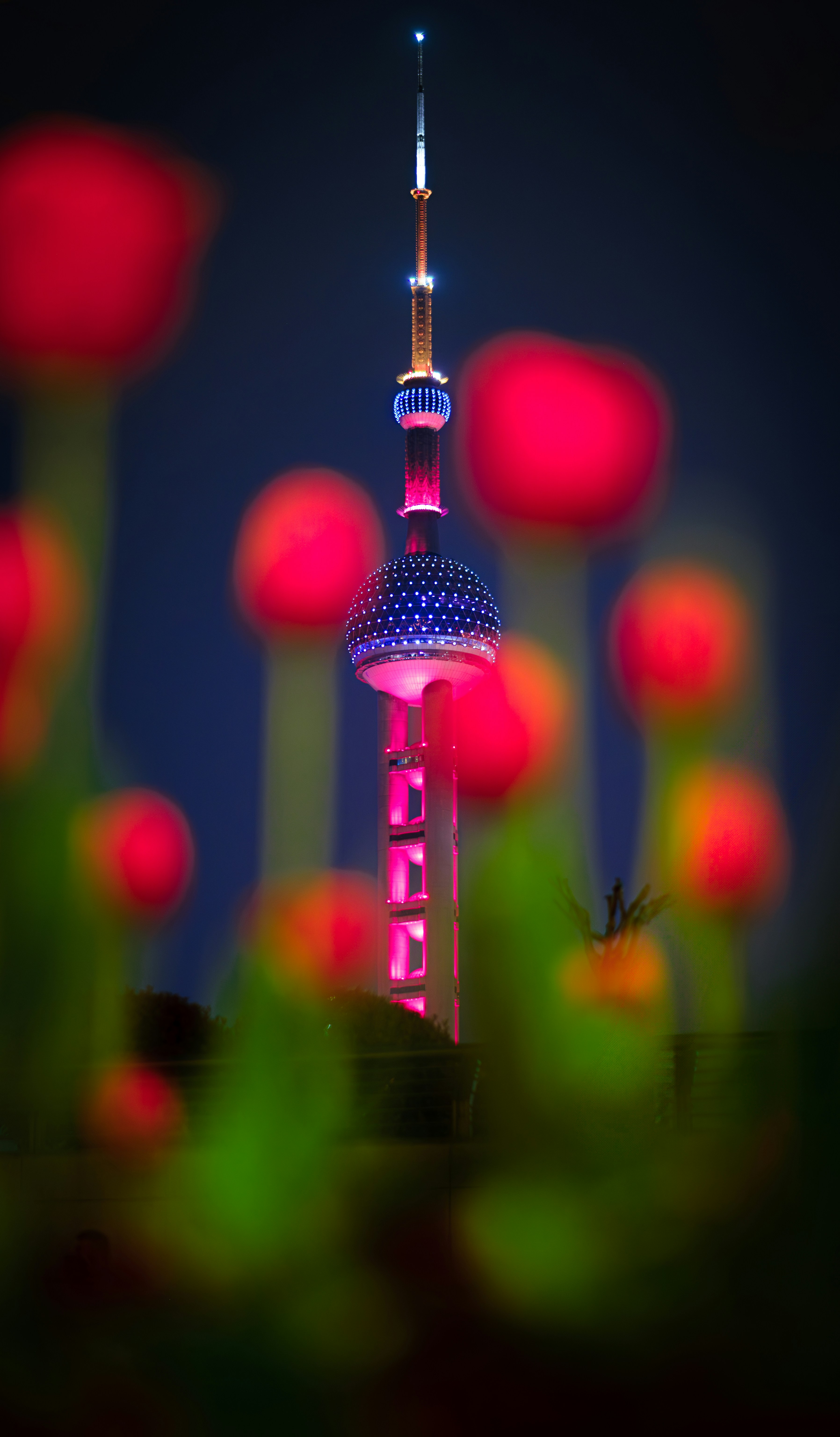 The oriental pearl tower is lit up at night