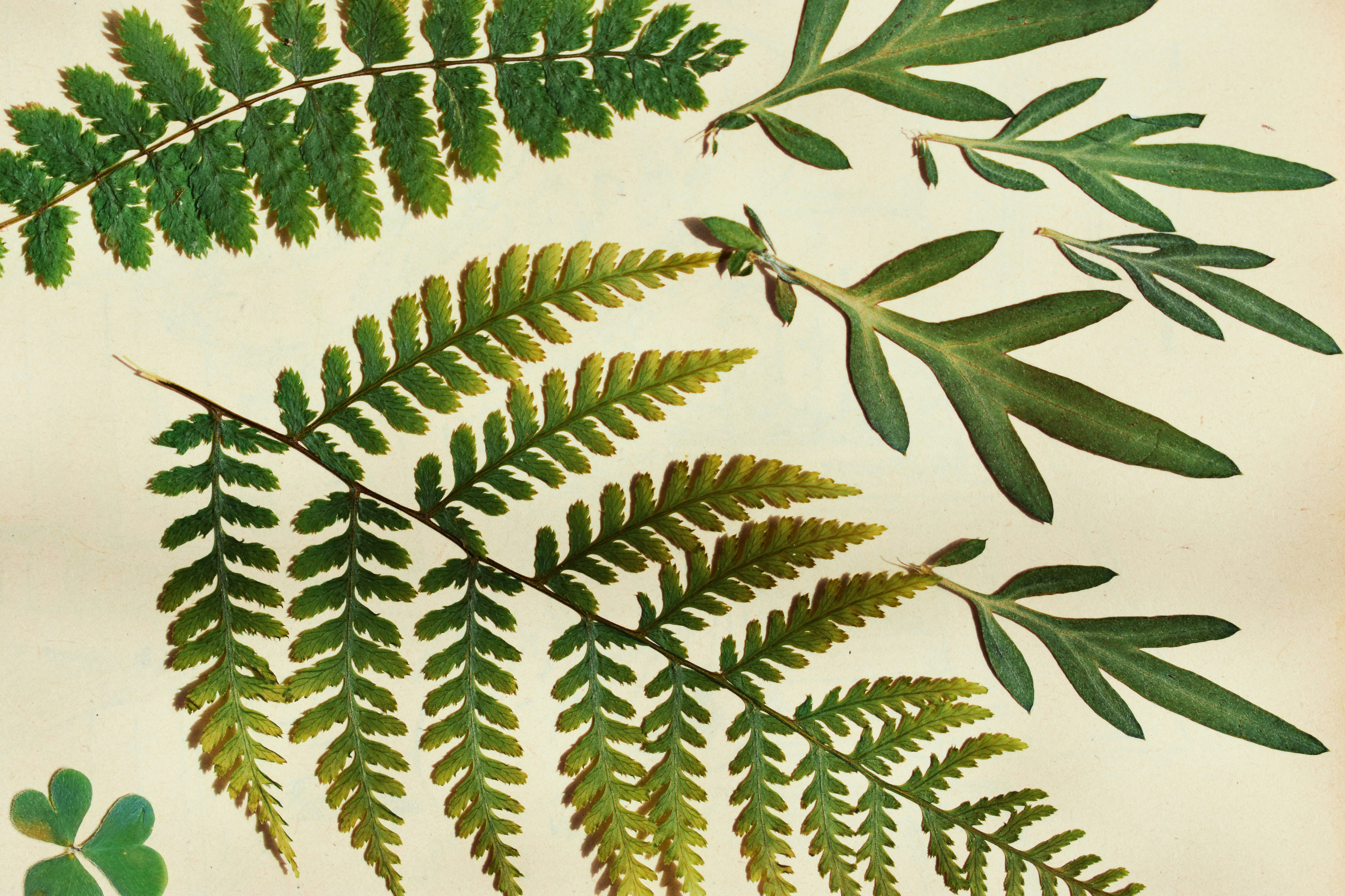 Photo by nisacokokumus