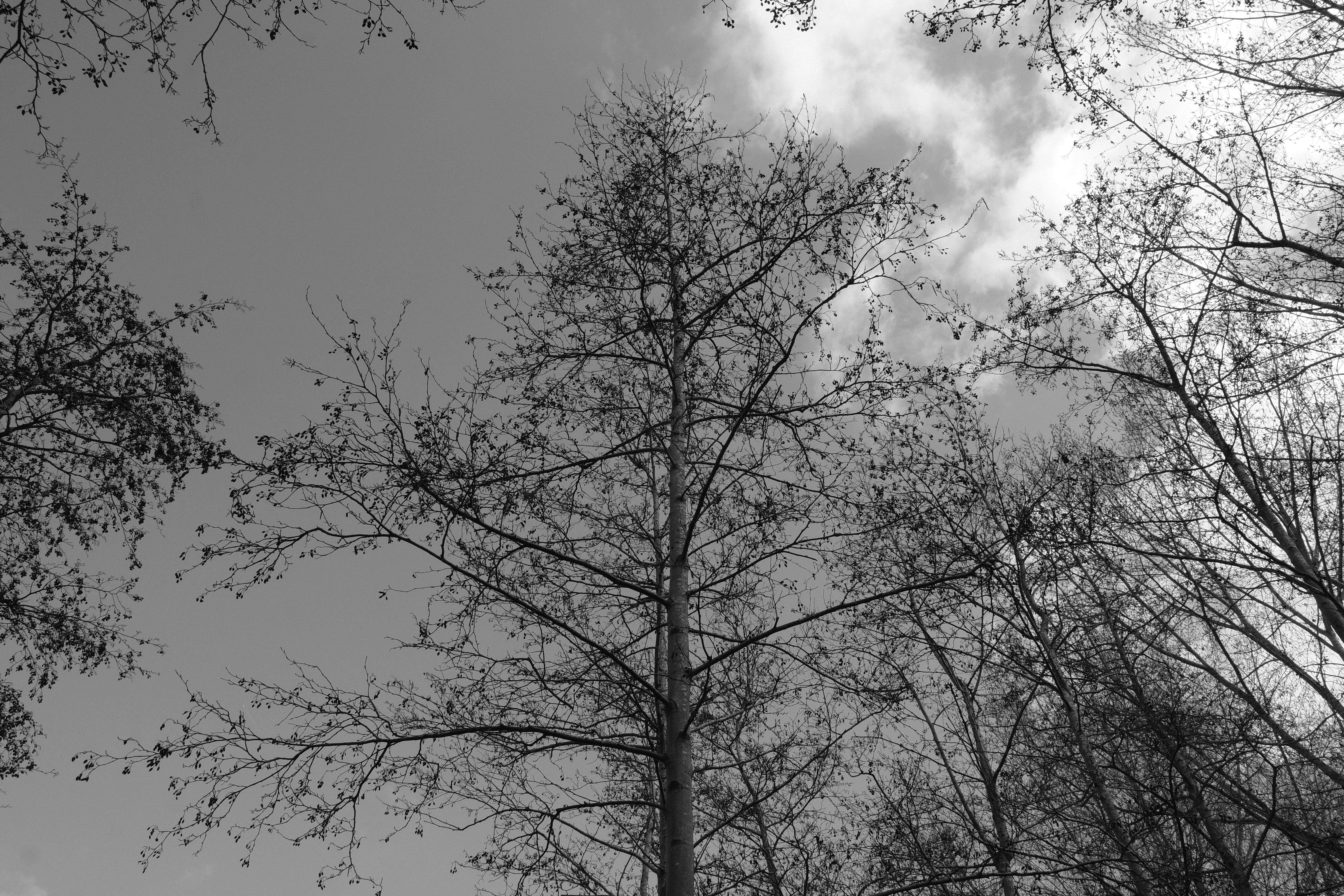 Photo by kyantijhuis