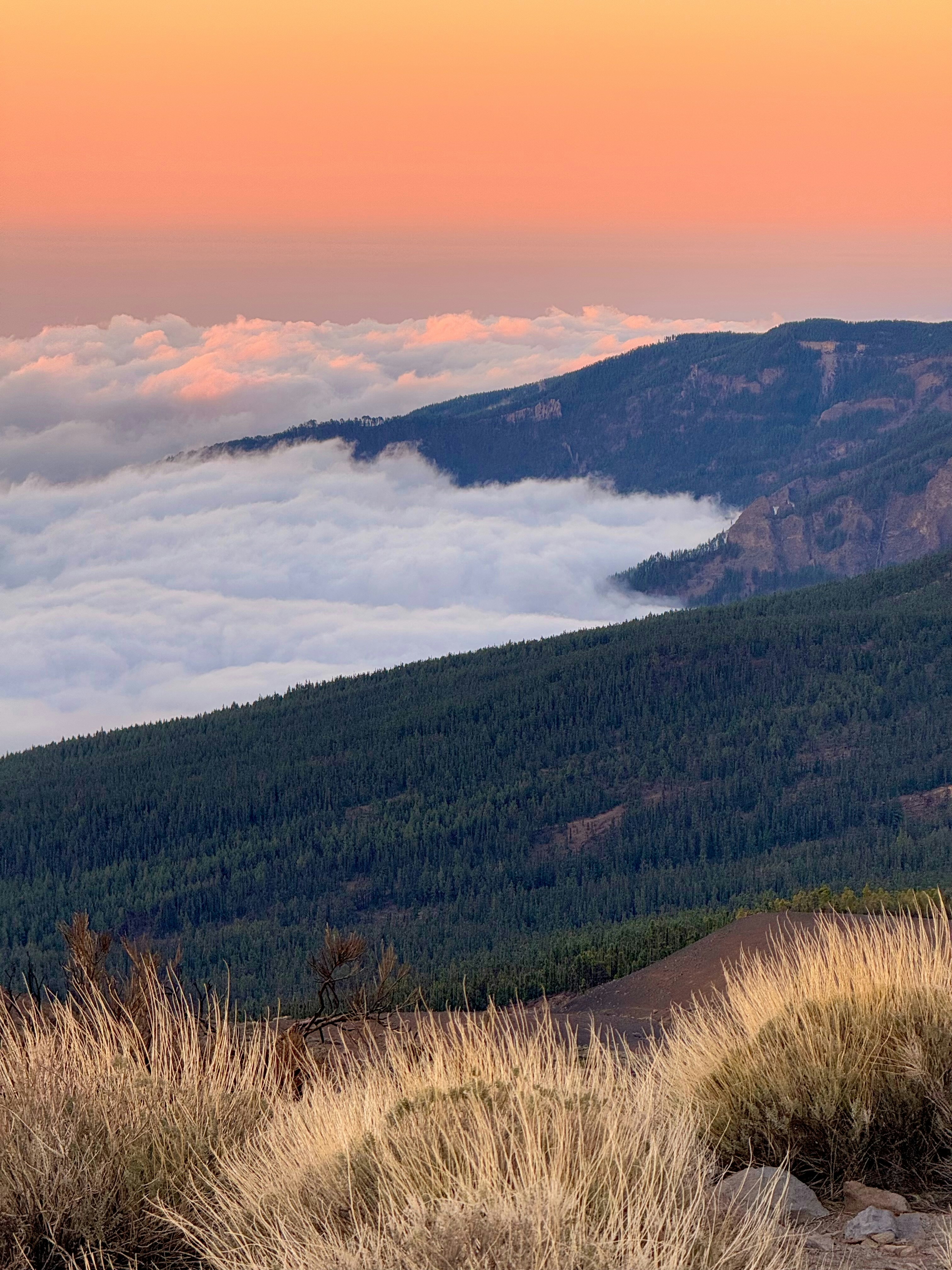 Photo by santiago_92