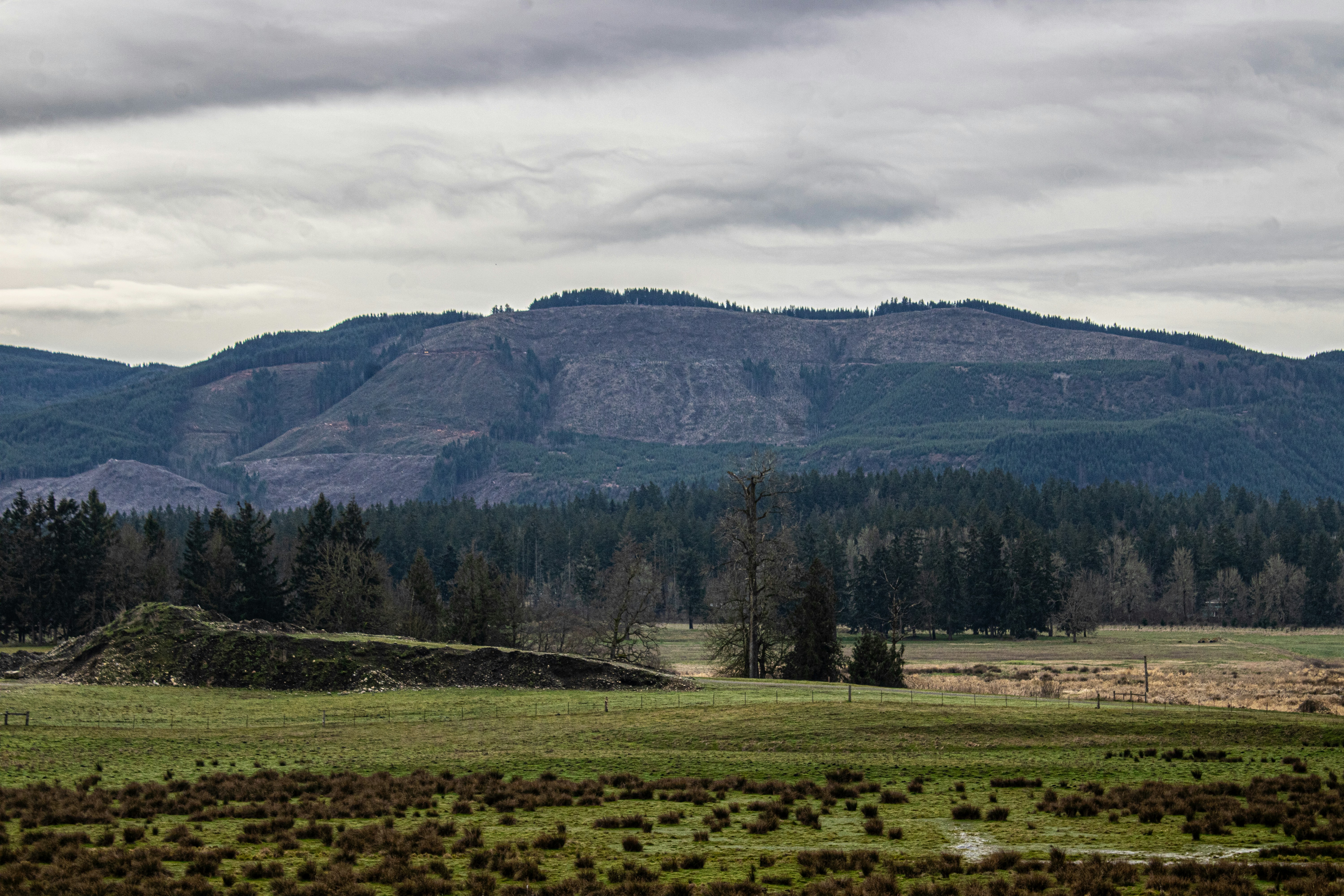 Photo by prphotography262